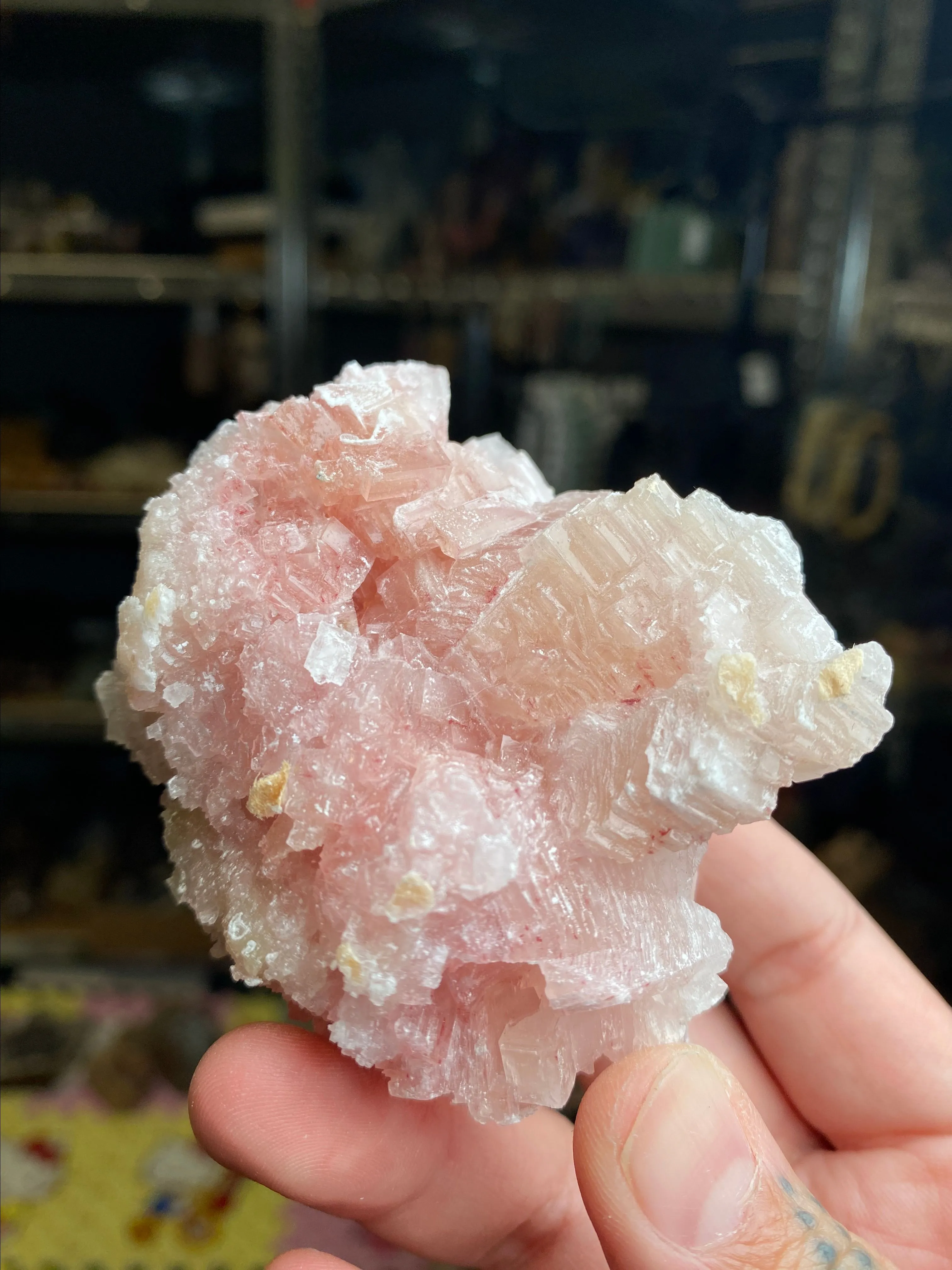 Product image for Halite