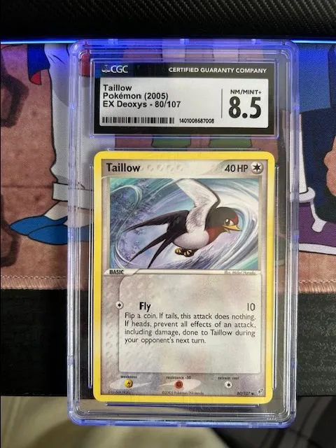 Product image for Taillow