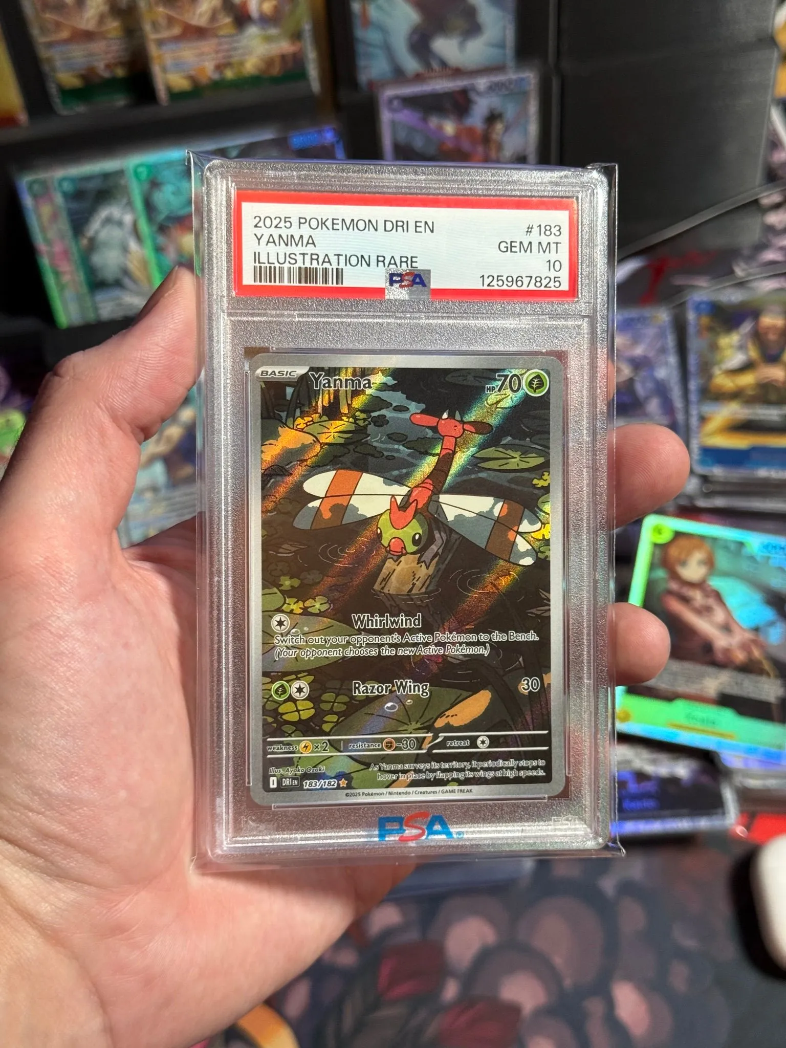 1996ed7e-9a59-40e8-be65-2f8d0f8be511