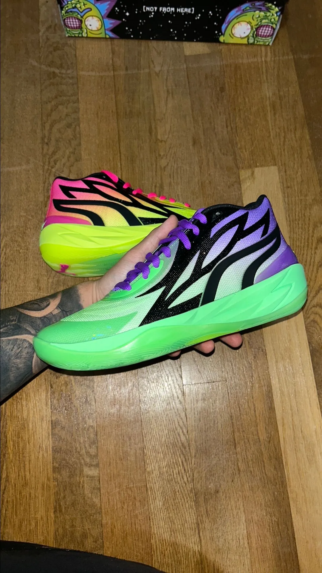 Product image for RICK AND MORTY MELOS