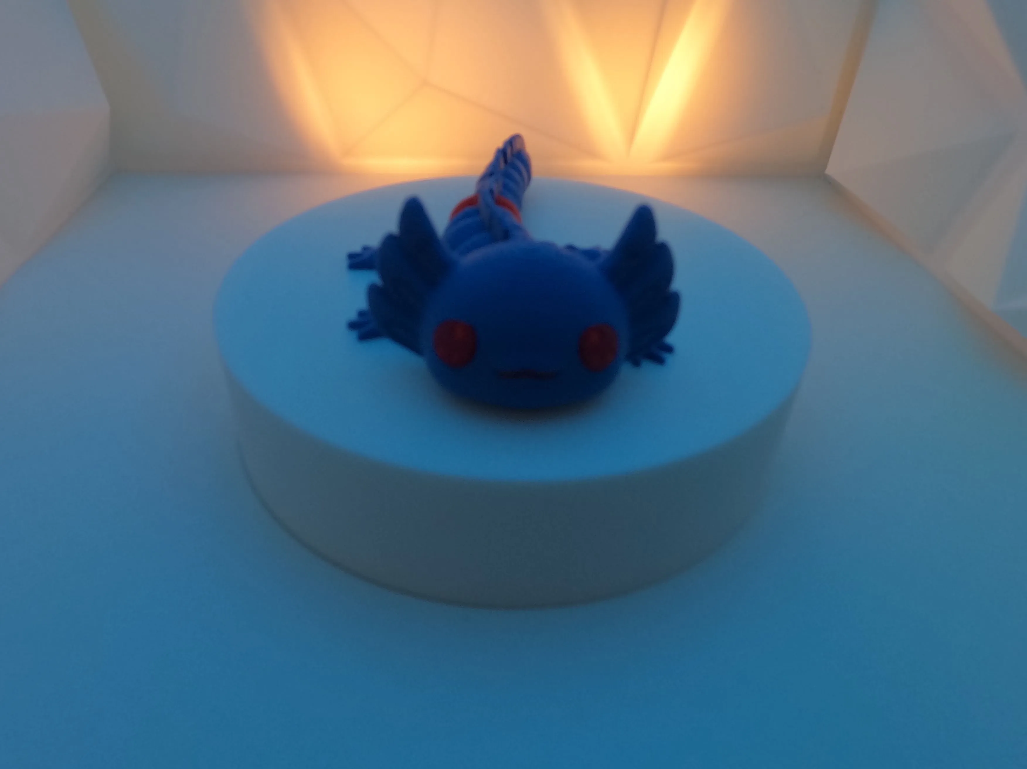 Product image for Axolotl