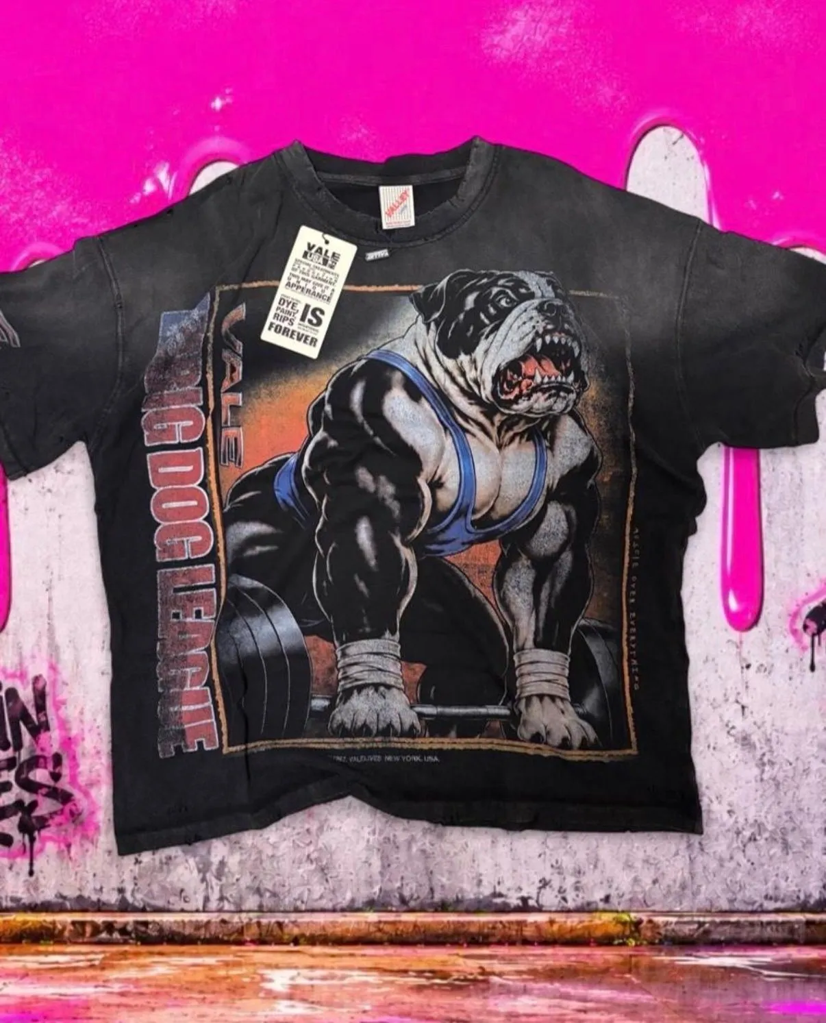 19b47672-8c80-406a-b797-fb914a68faa8