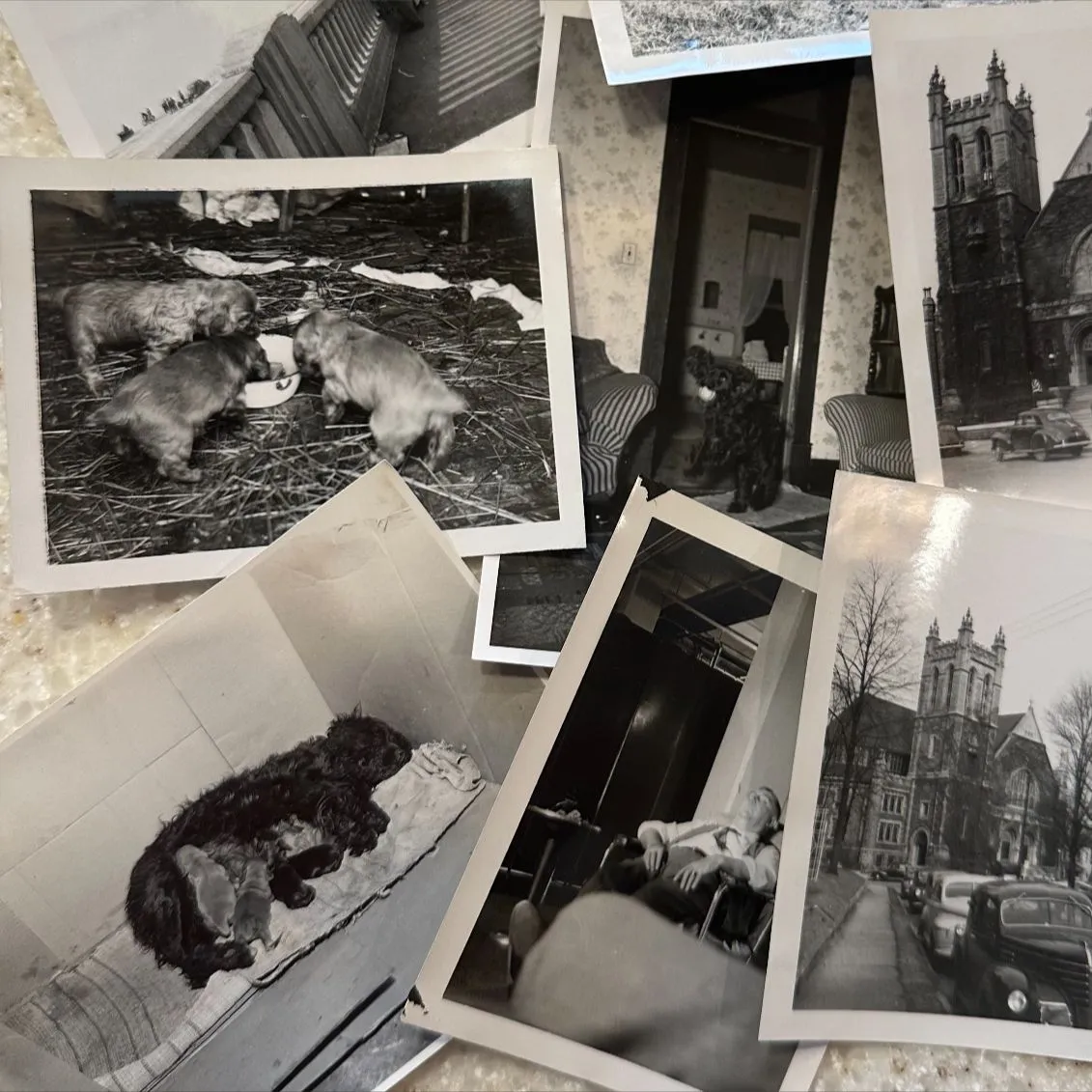 Product image for 30 Miscellaneous Vintage Black And White Snapshots Lot