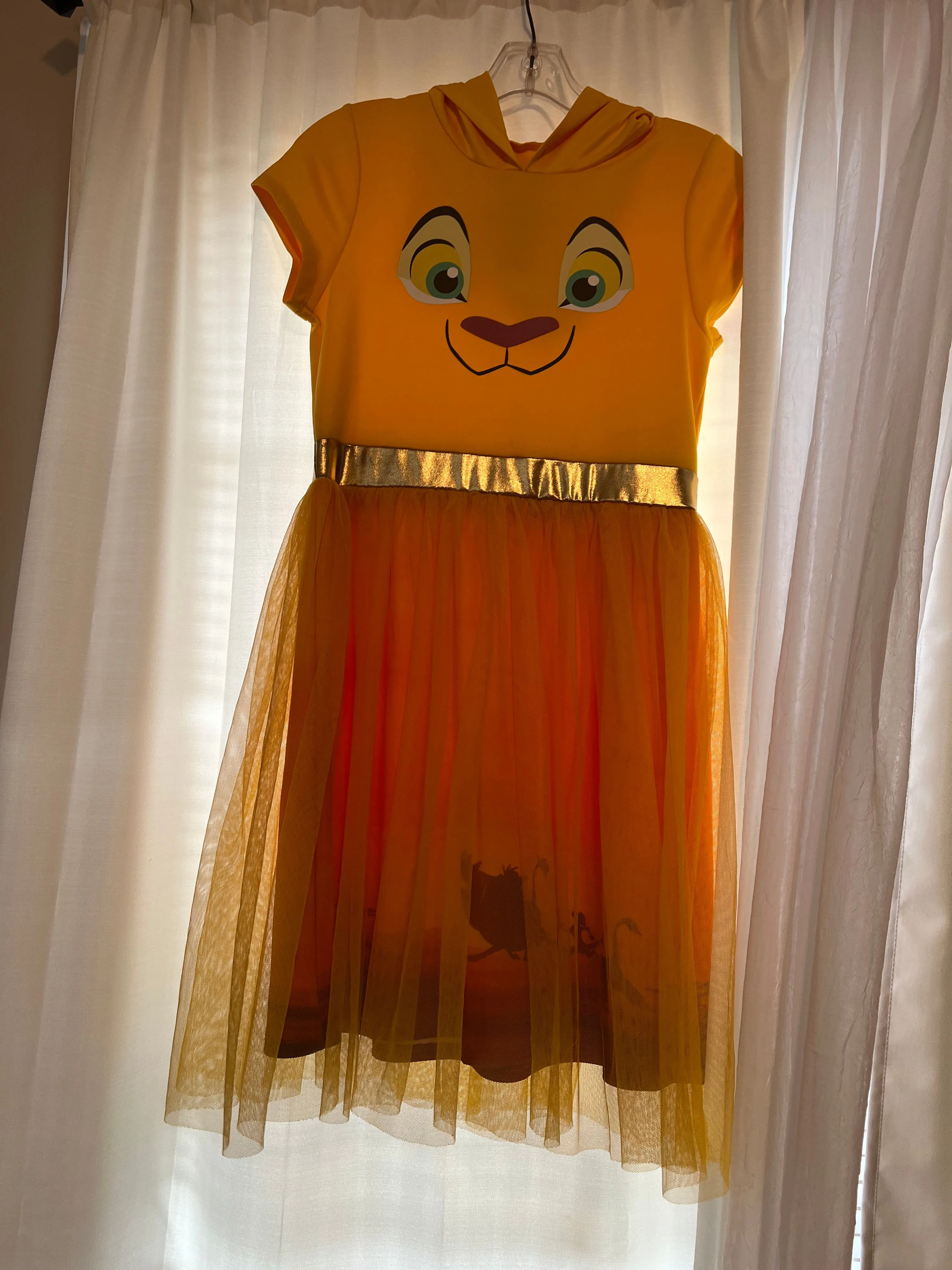 Product image for Disney Lion king Nala Dress🦁