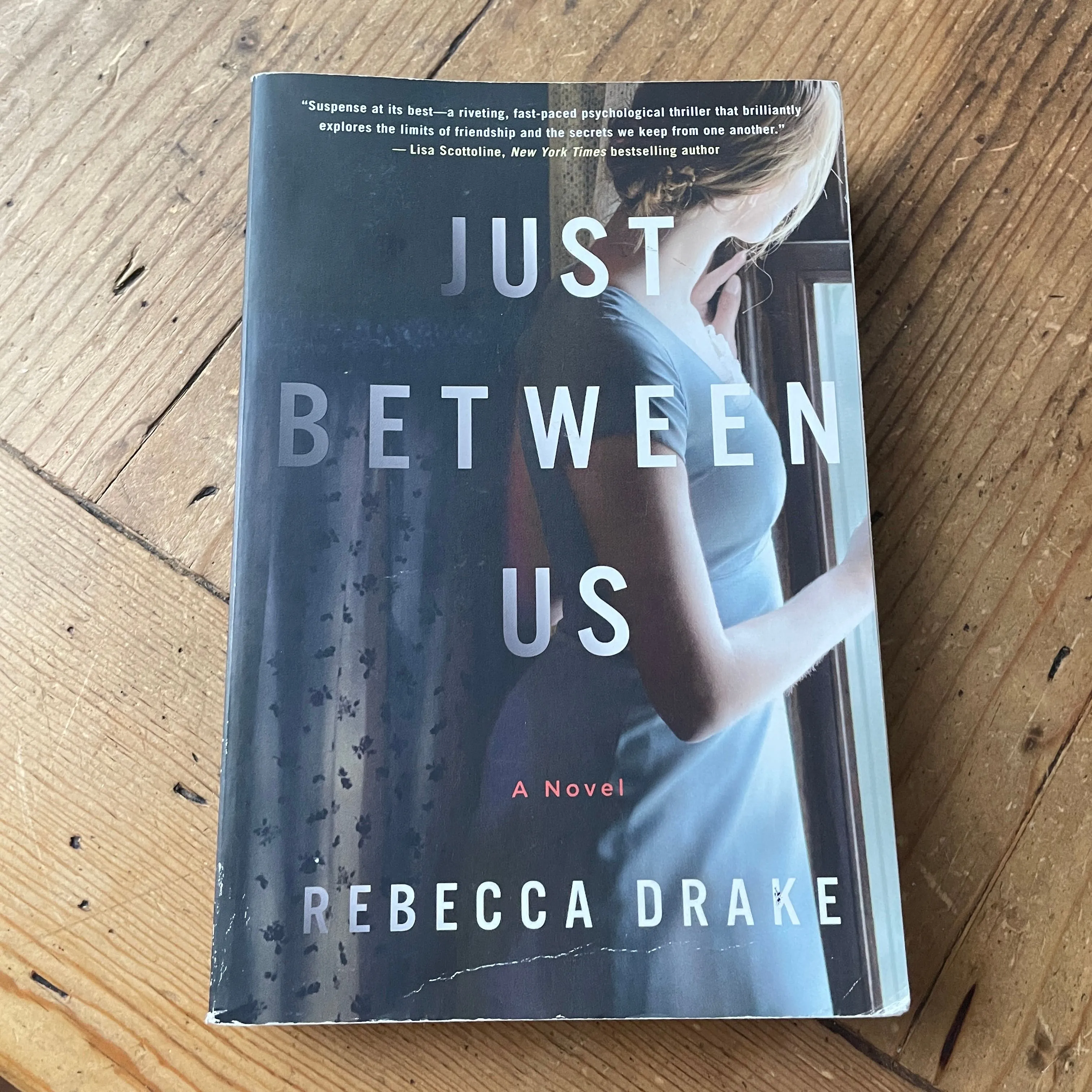Product image for Just Between Us by Rebecca Drake