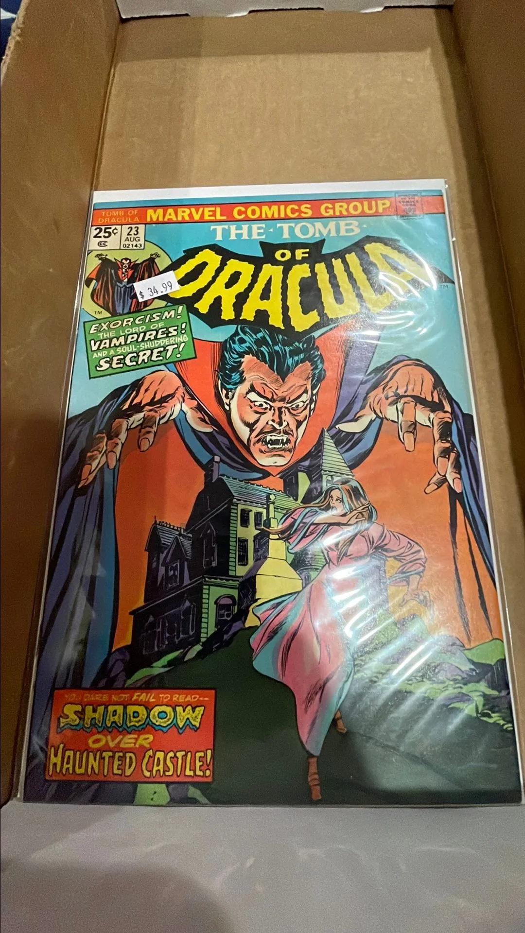 Product image for Clean Tomb of Dracula.