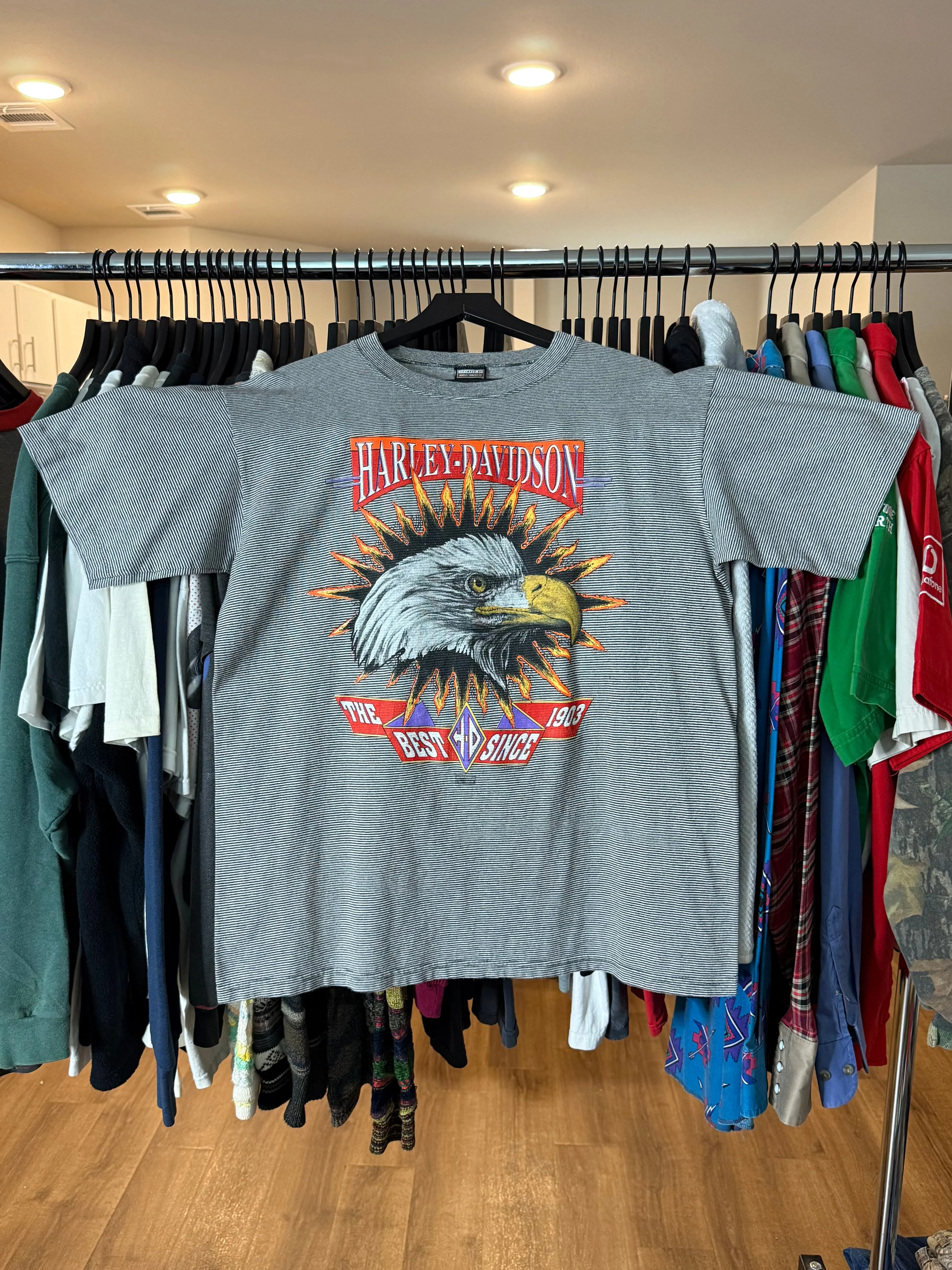 Product image for Harley Davidson Funwear Rare Shirt - L