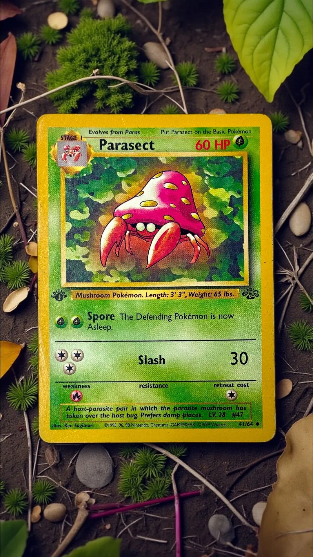 first edition paras pokemon card Pokémon Card Paras #46 TV Animation Blue Logo 1st Print ENG L015209 – AGS  Collectibles main image 1