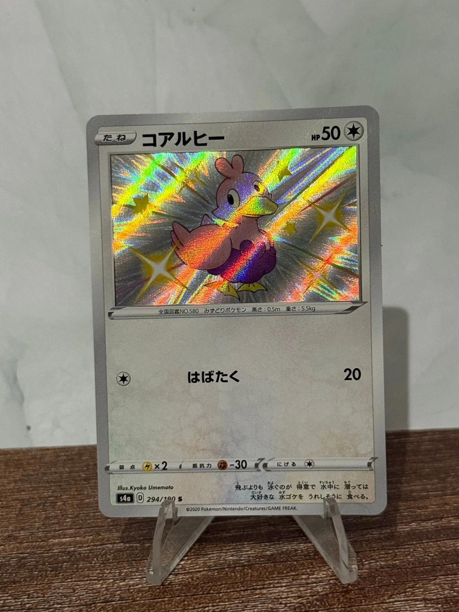 1c13391f-9e83-4ece-ae53-c7d5d6be4d2d