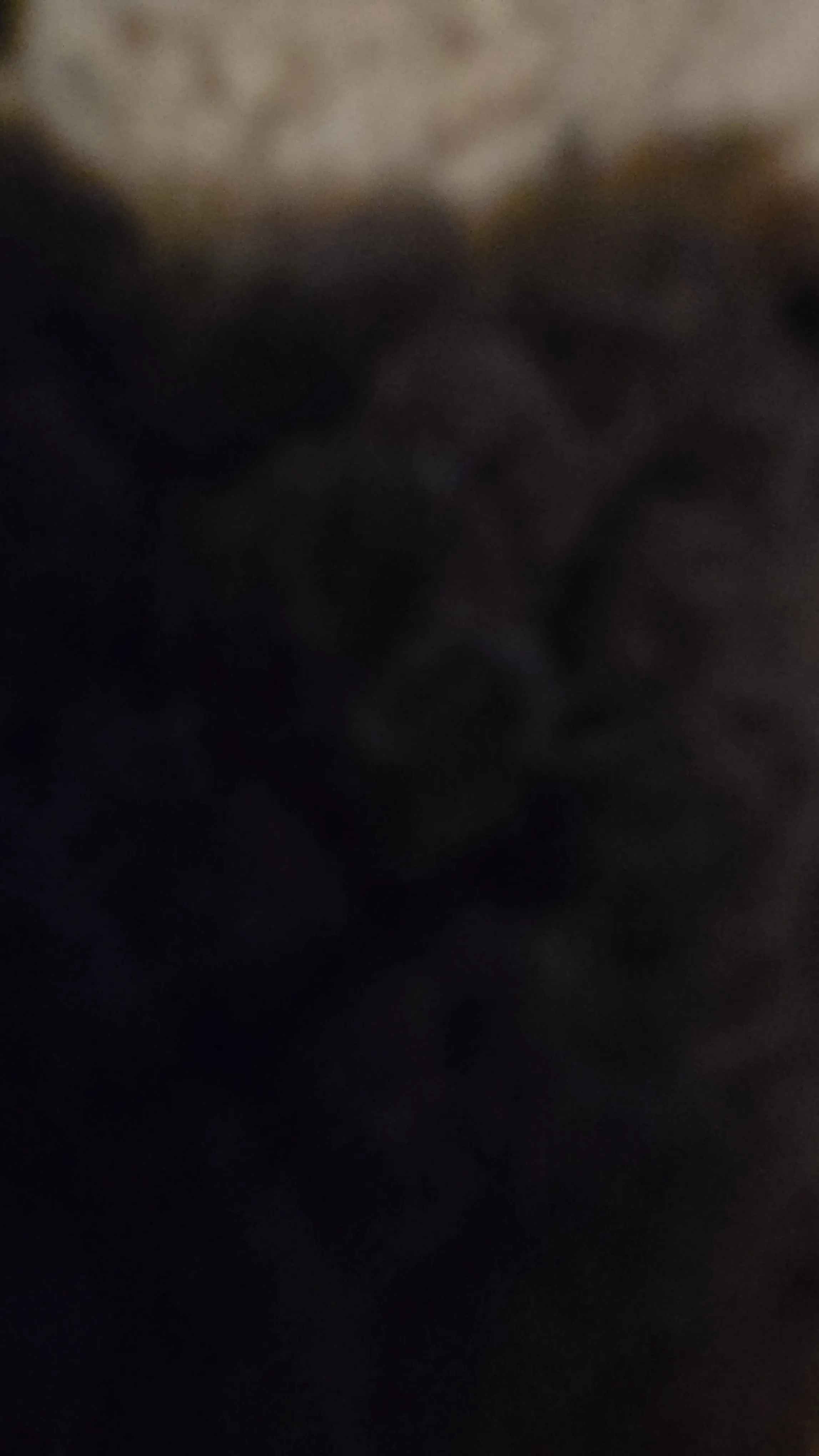 1c5312df-d57a-40f4-86e0-ee66c6d8f120