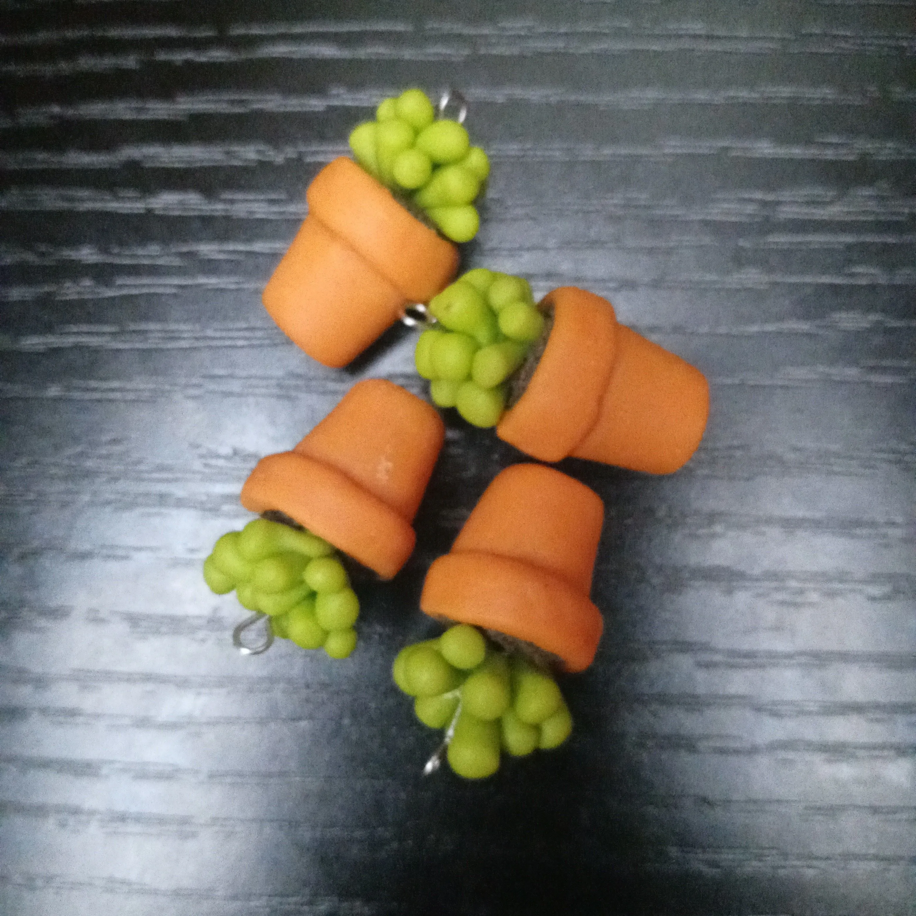 Product image for 🌱succulent clay charm🌱(choose 1)