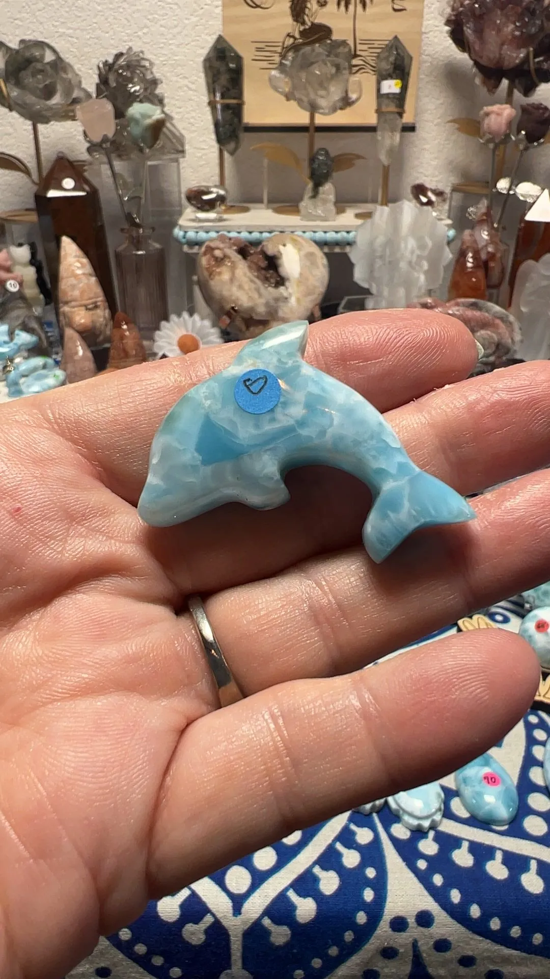 Product image for AAA Larimar Dolphin B