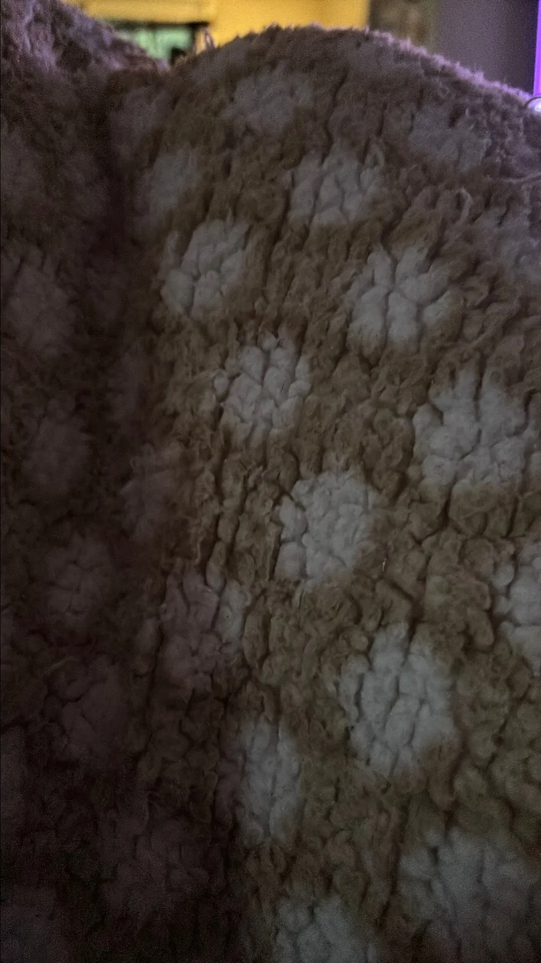 1d7f4665-c37b-4be6-8a31-609bc90e77d9