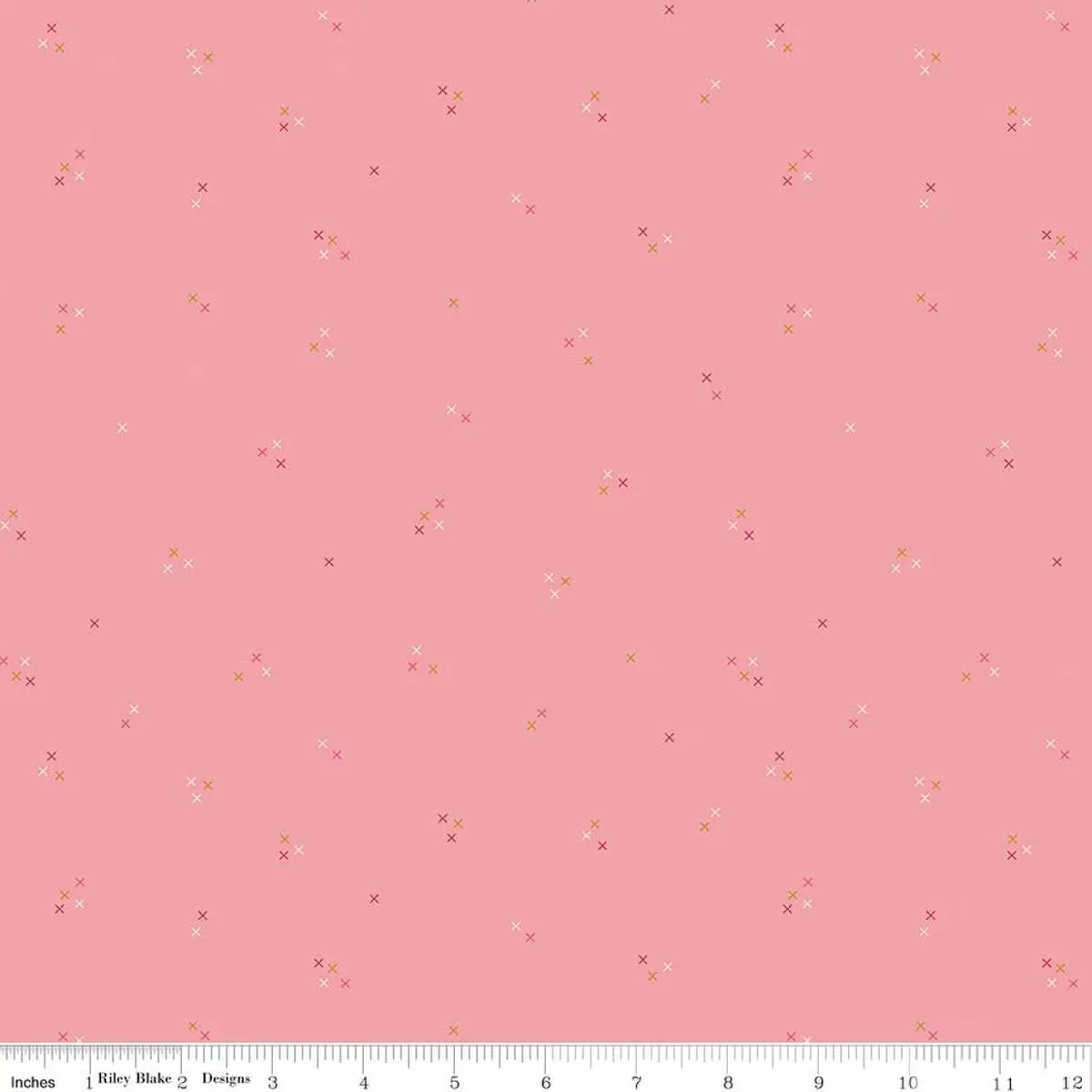 1e9cd8c1-02dd-4193-b448-4e2ffbbda64b