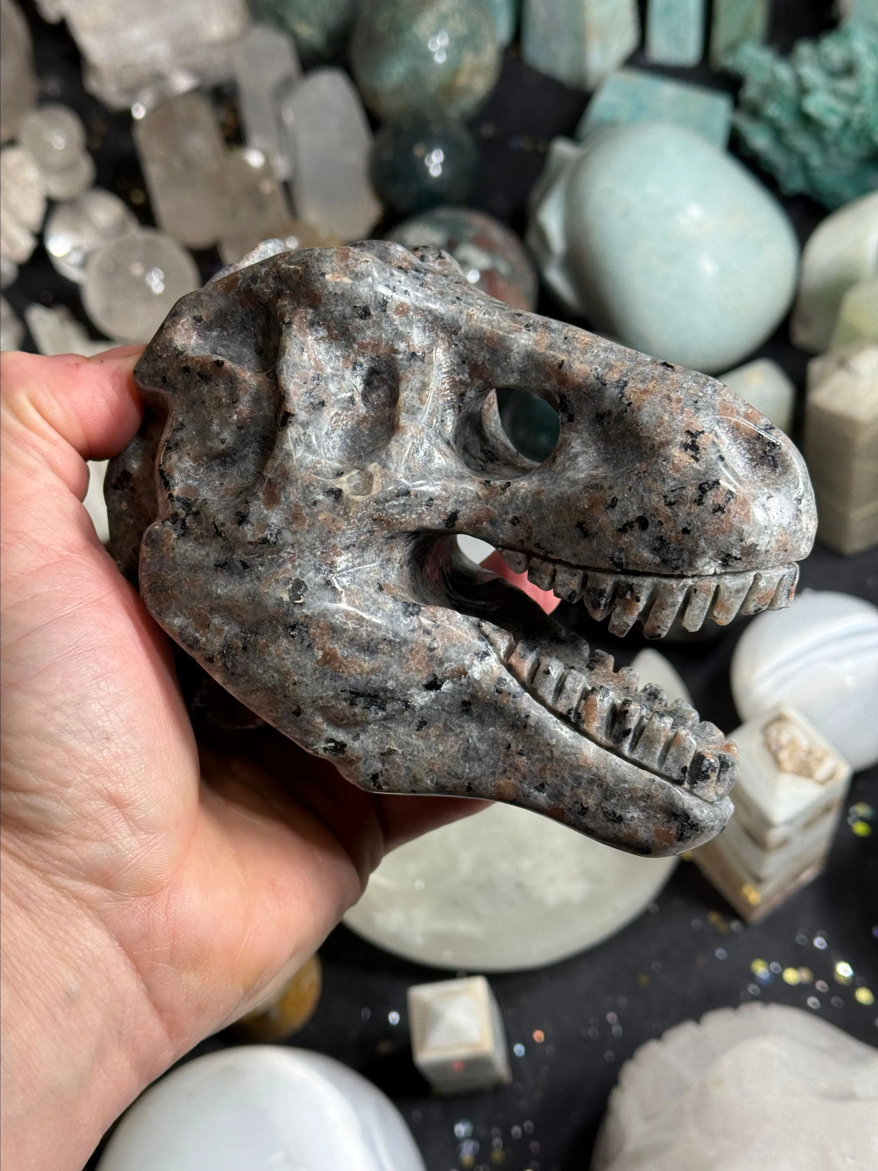 Product image for Yooperlite T-Rex Skull Carving "UV Reactive"  #6