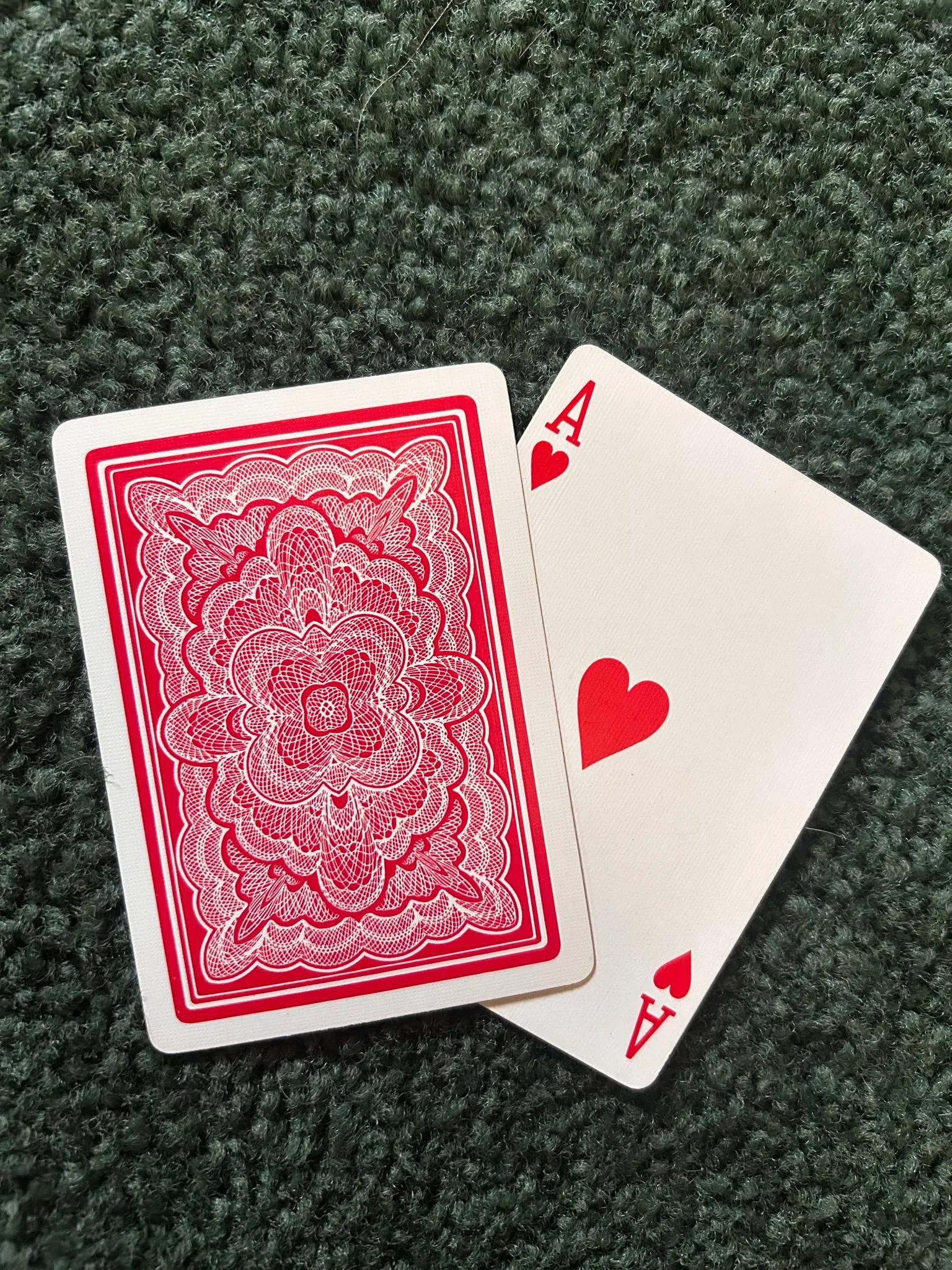 1ef33f66-2036-4e59-9c67-94906b1dc4fc