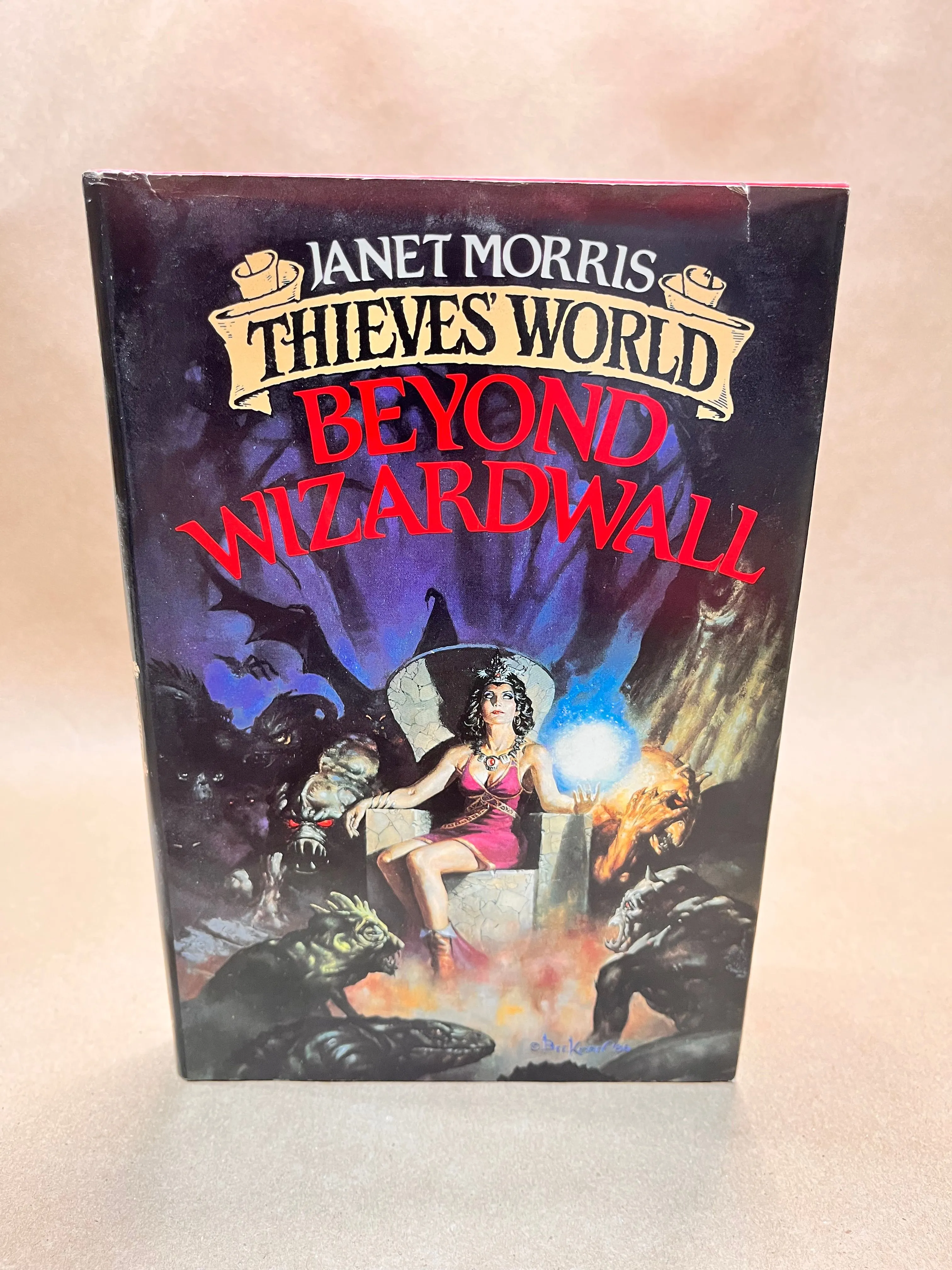 Product image for Beyond Wizardwall by Janet Morris