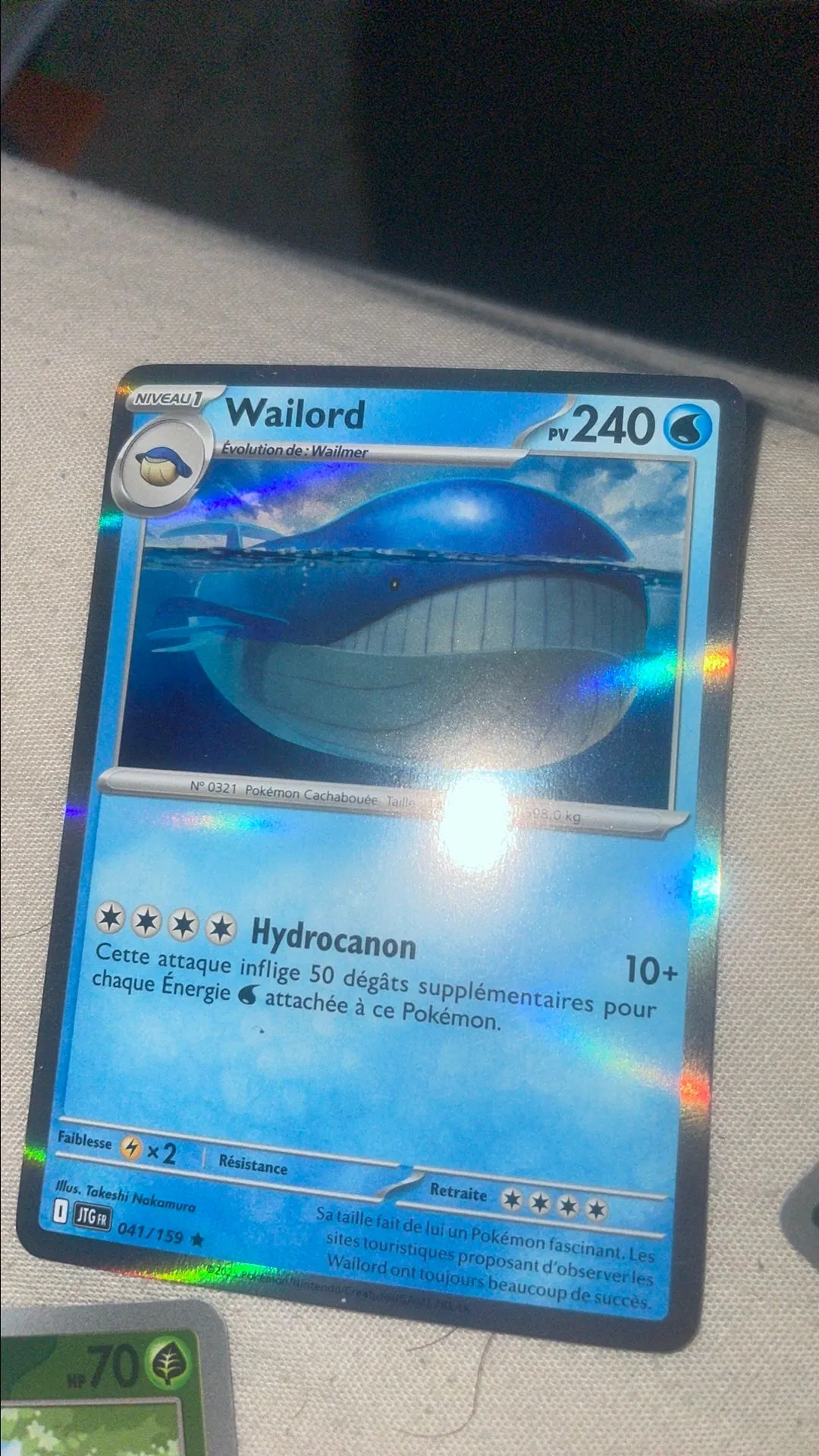 Product image for Carte wailord hollo