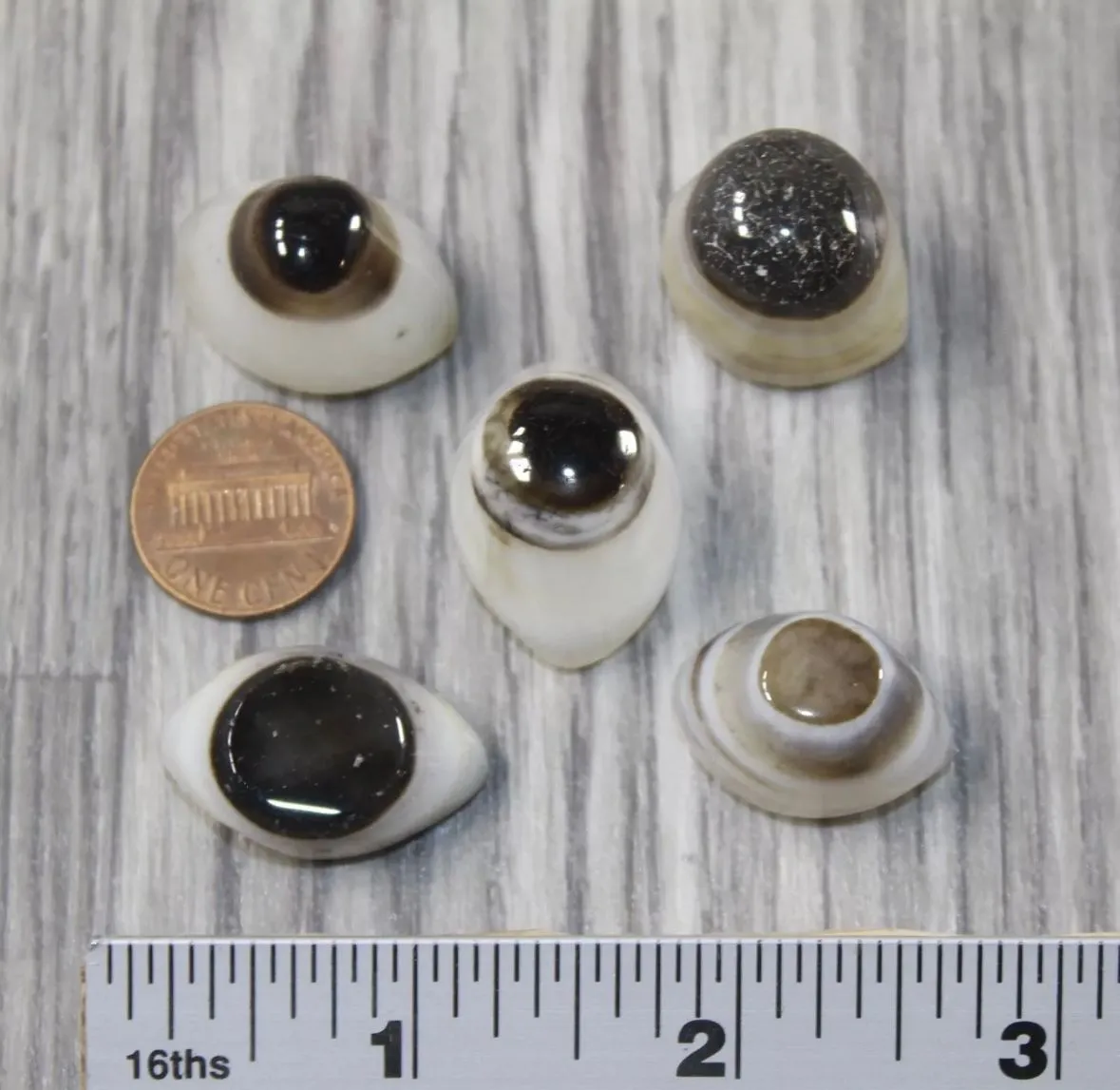 Product image for Eye Agate from India
