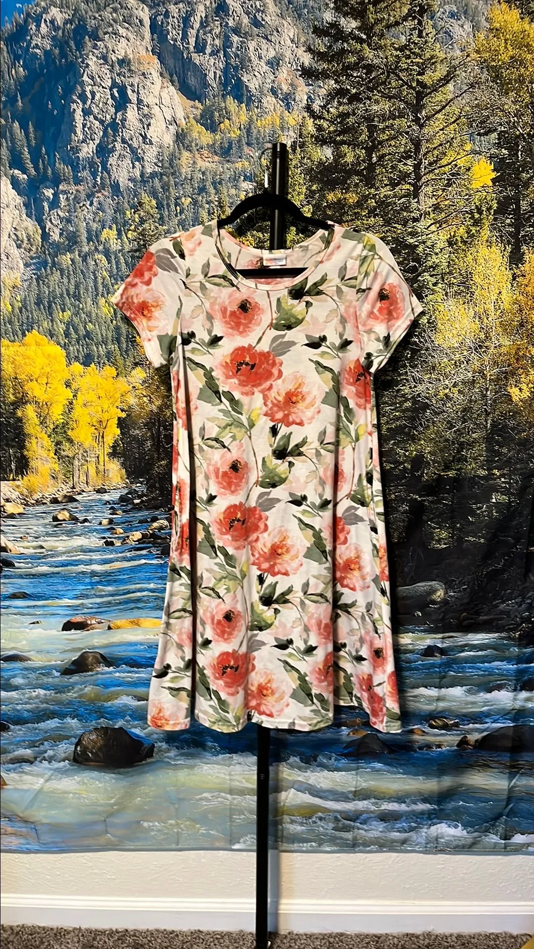 Product image for Lularoe Jessie Dress (floral)