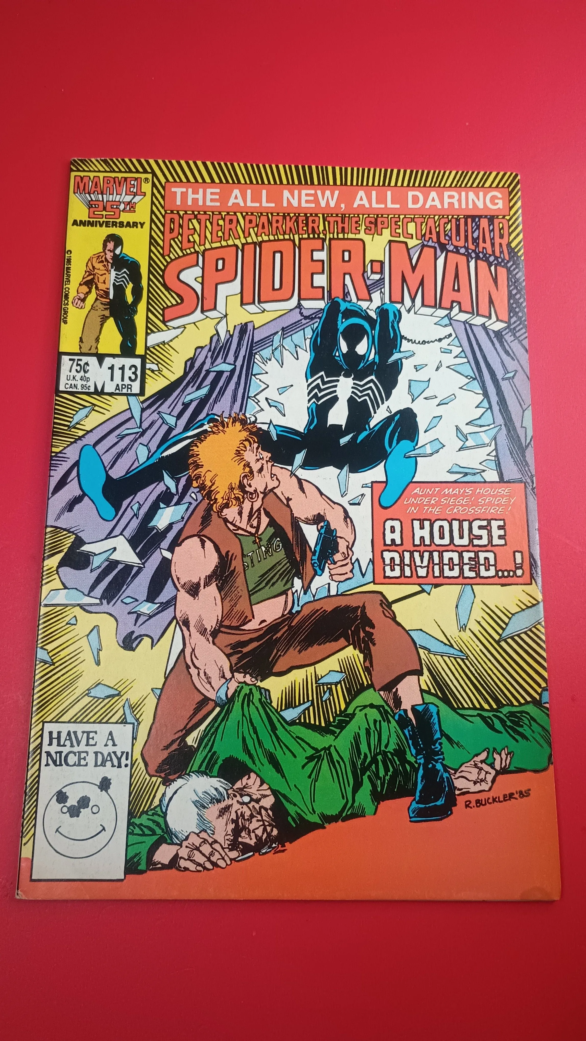 Product image for Peter Parker, The Spectacular Spider-Man #113