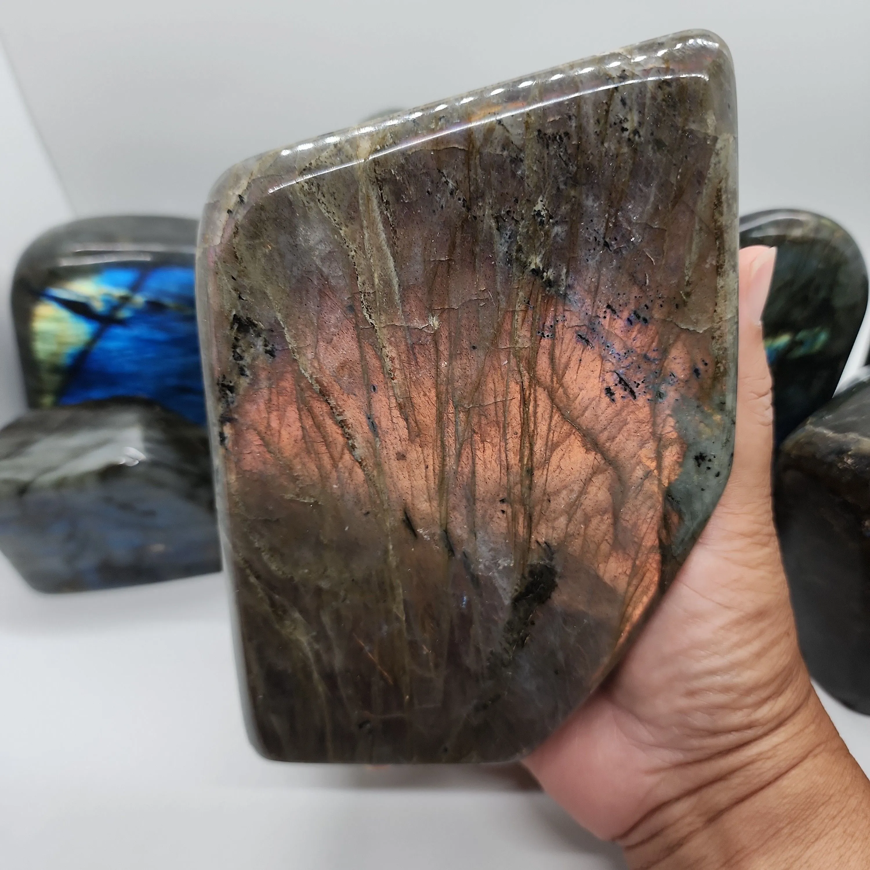 Product image for !DISCOUNTED! Labradorite Freeform