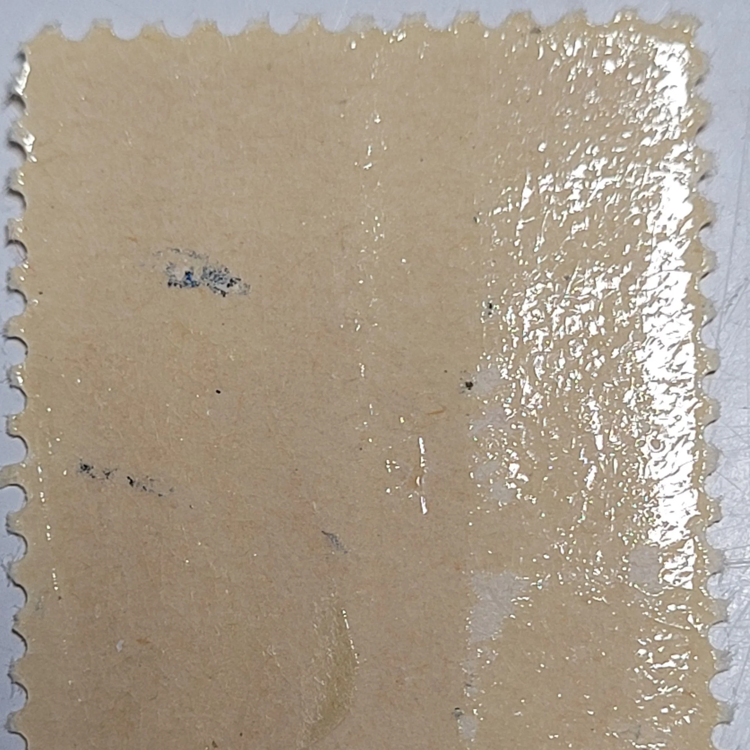 Listing Image Blurred Background
