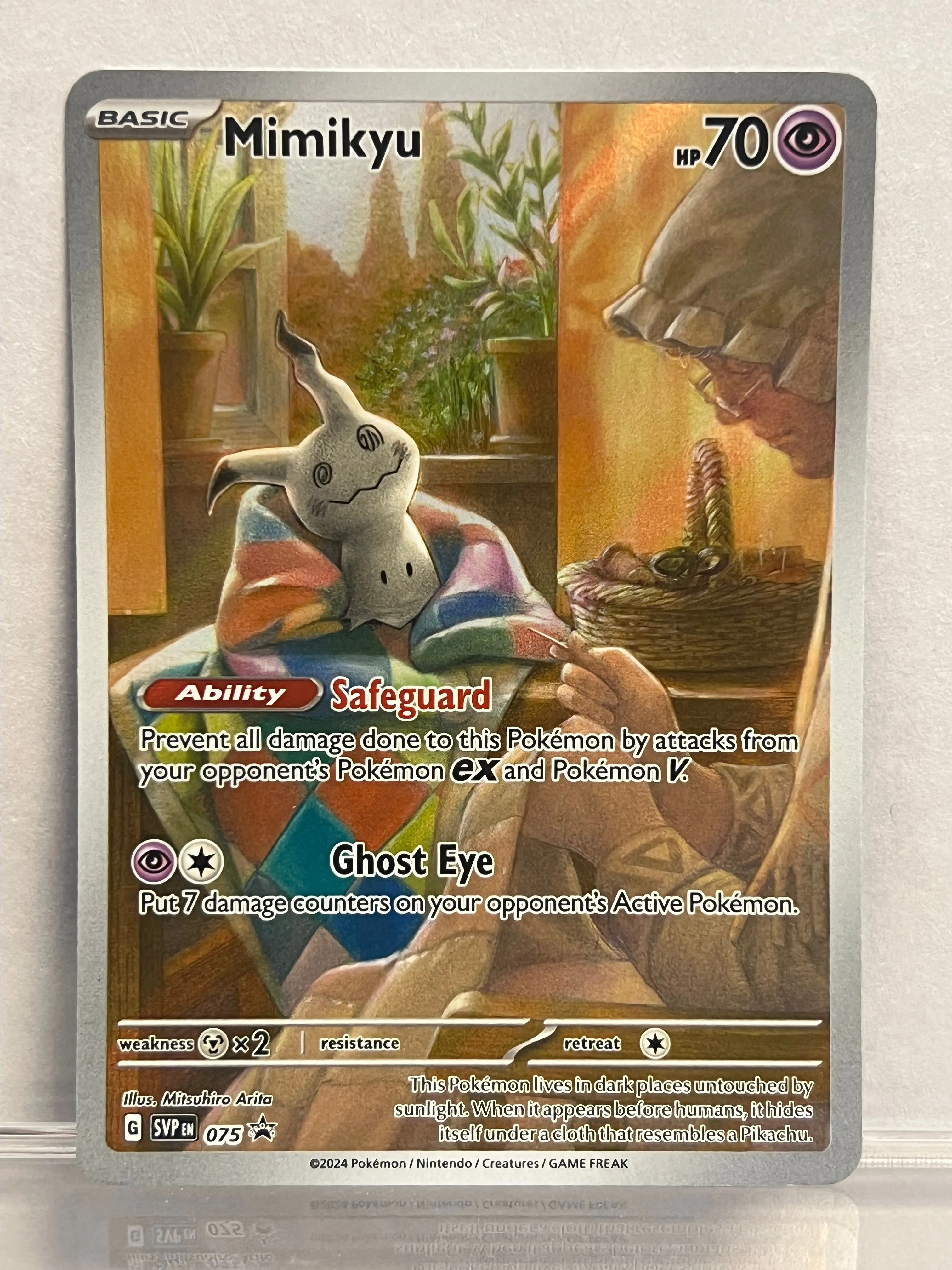 24269eb5-063f-4cd3-9f0d-52cb5cfebc8a