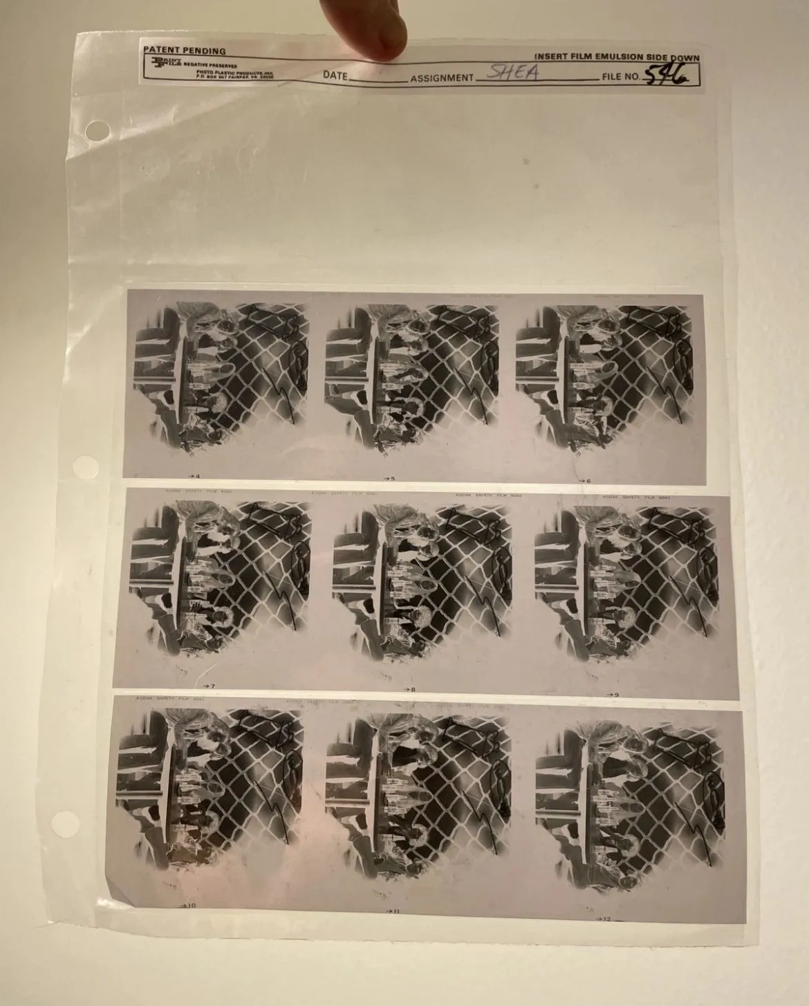 Product image for EAGLES Long Run Era 3 Negative Film Strips 7.25x2.5 Filing Sheet 📸 Jim Shea HTF