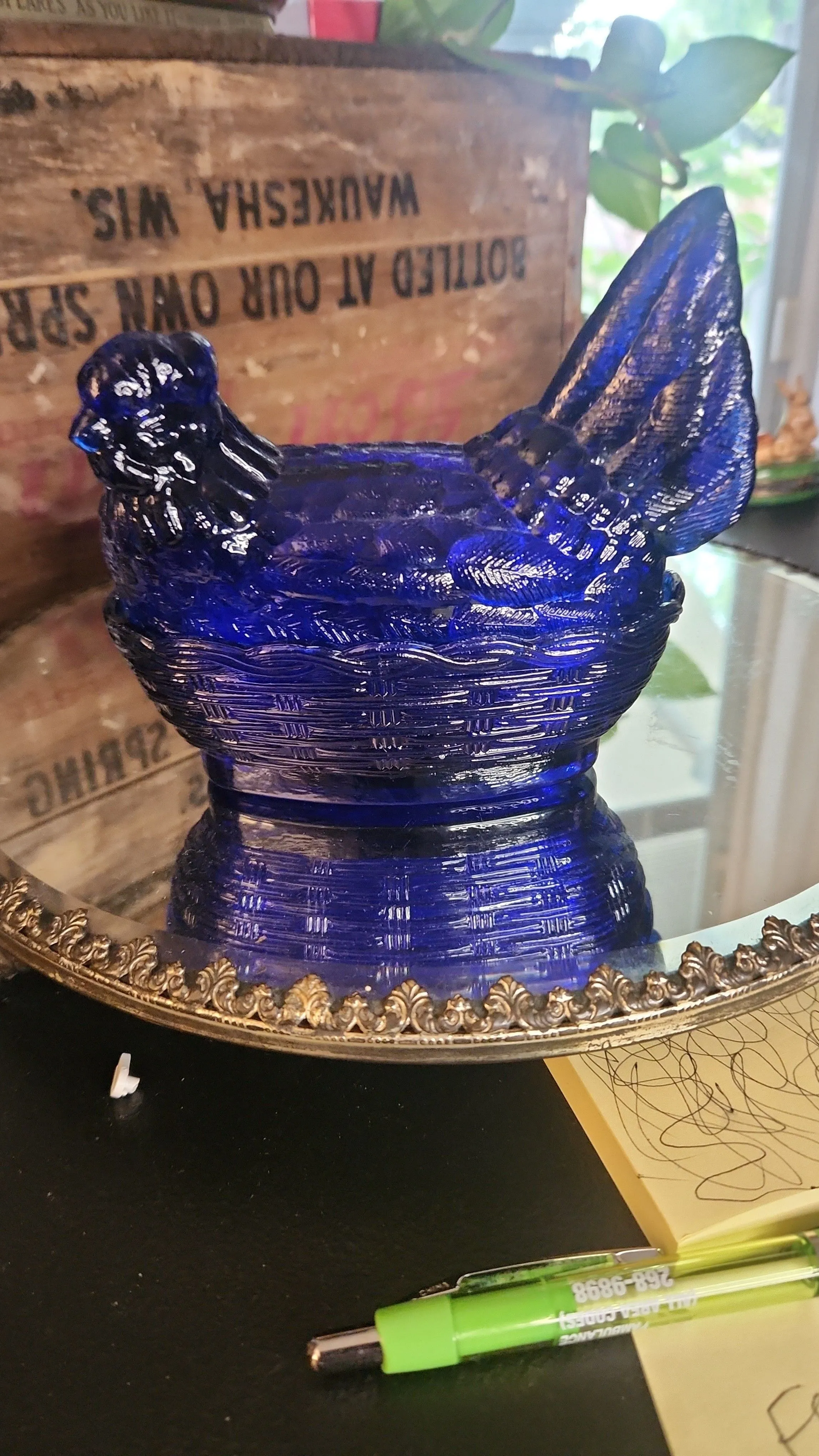Product image for Colbolt blue hen on nest