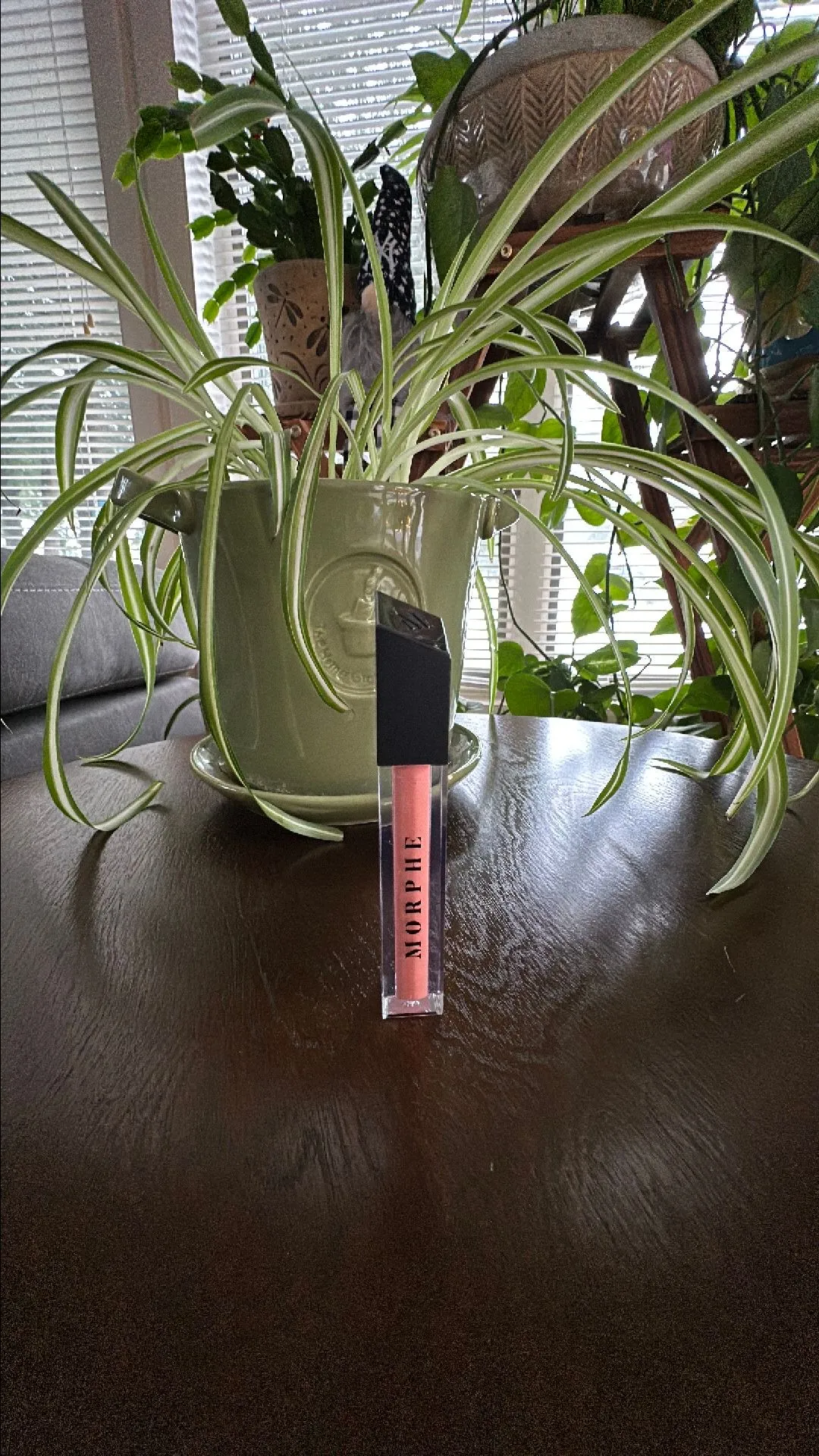Product image for Morphe lip gloss shade- sing along