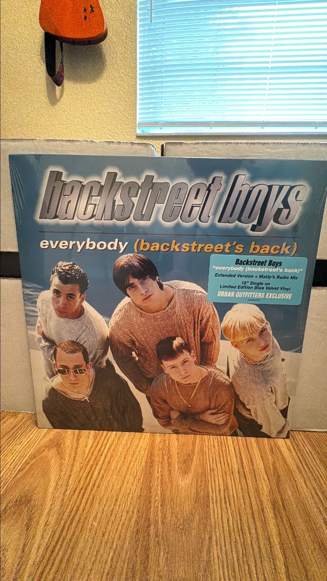 Product image for Backstreet Boys - Everybody (Backstreet's Back)