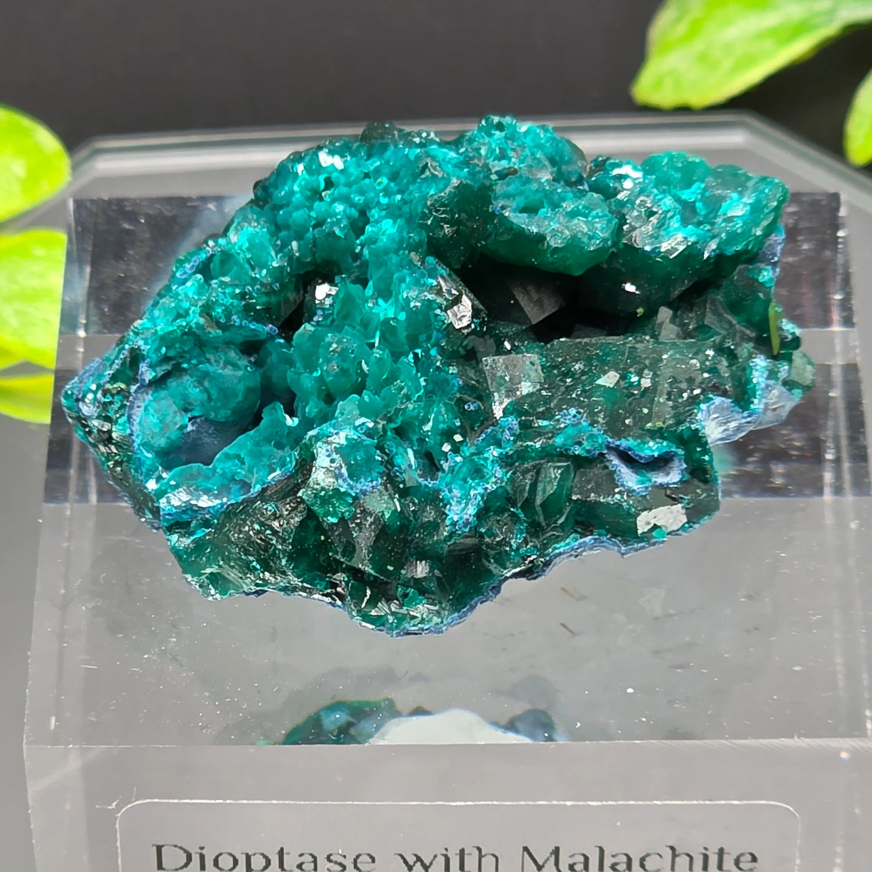 Product image for #502 Dioptase Congo
