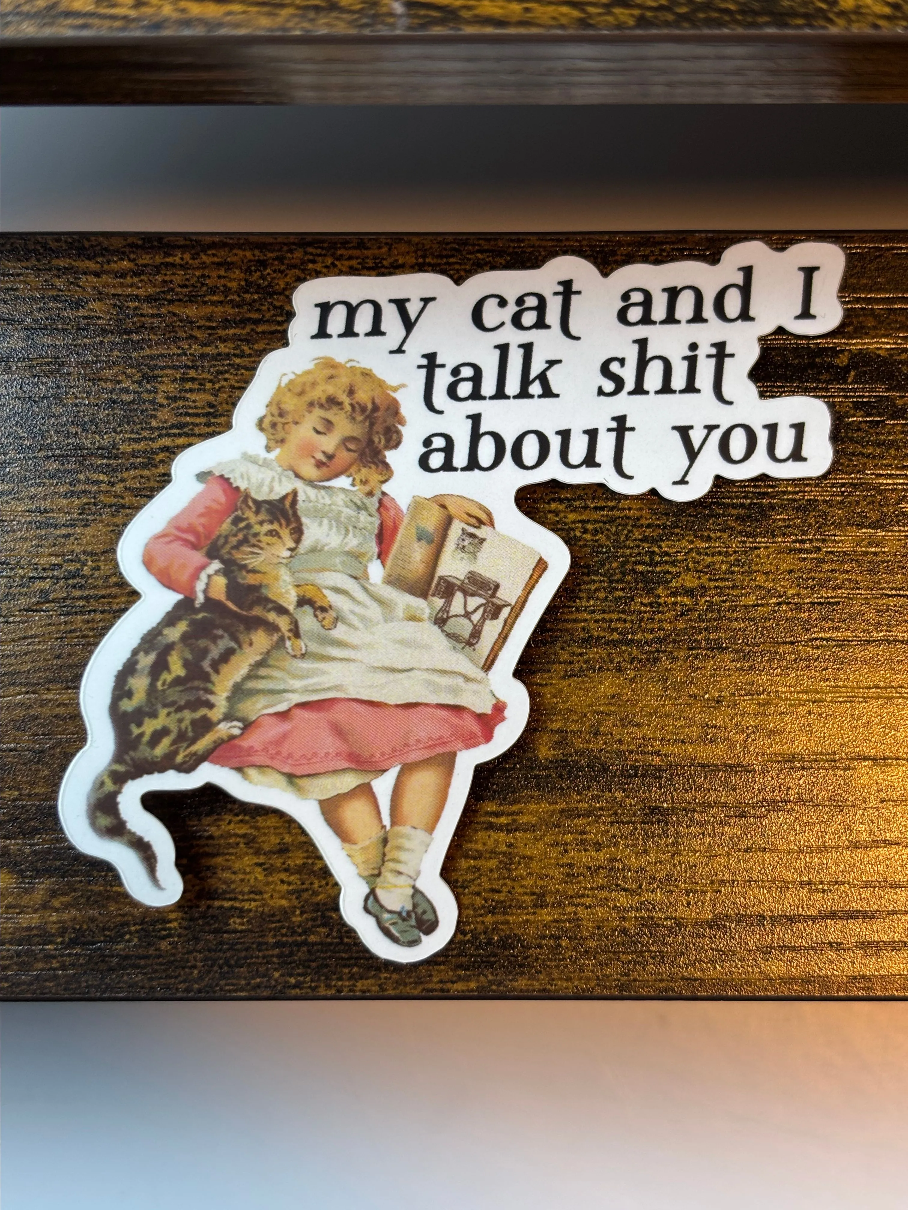 Product image for F57 - Funny Vintage Cat Stickers, My Cat and I Talk Shit About You, Snarky Cat Stickers, Cute Cats