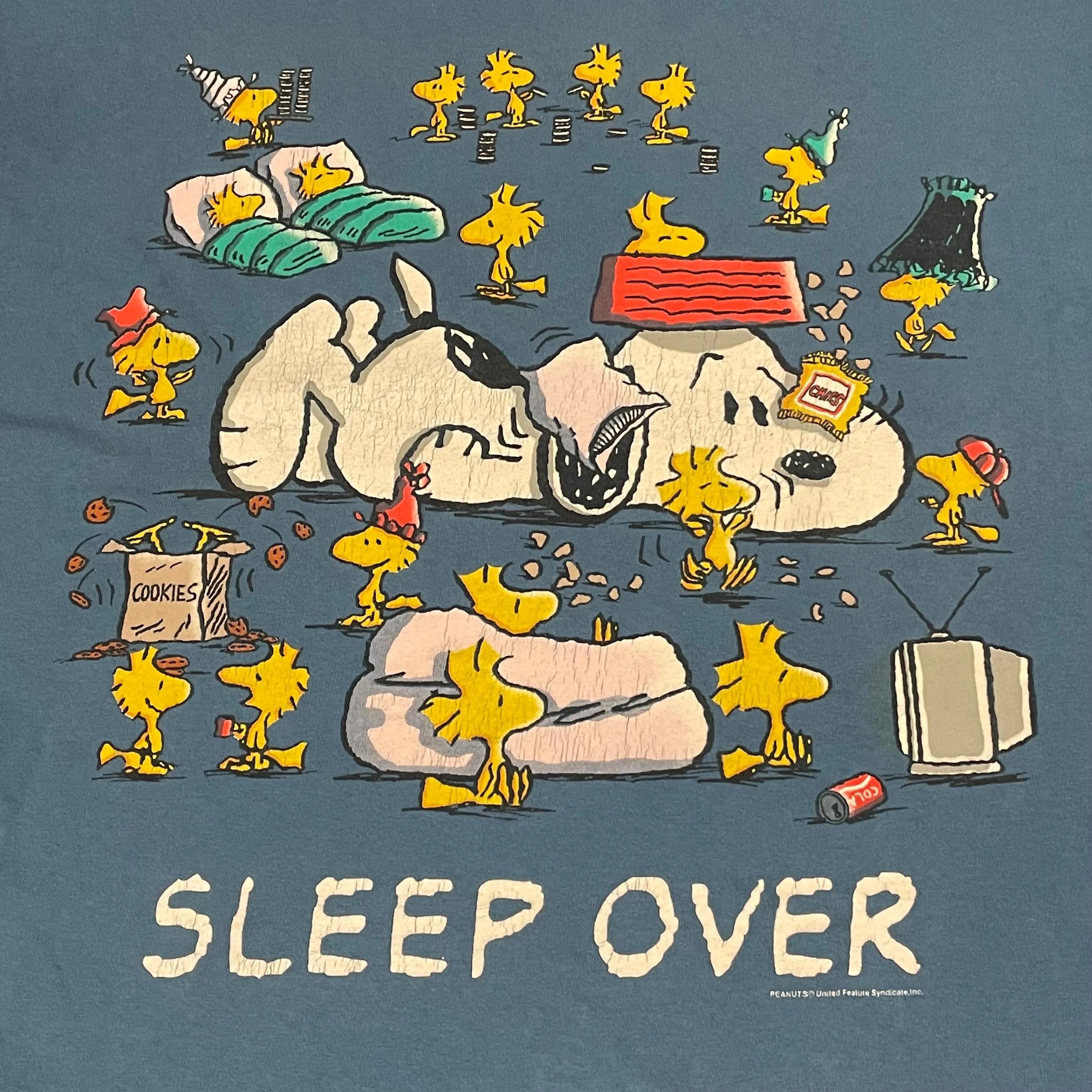 Product image for Vintage Snoopy Changes tag