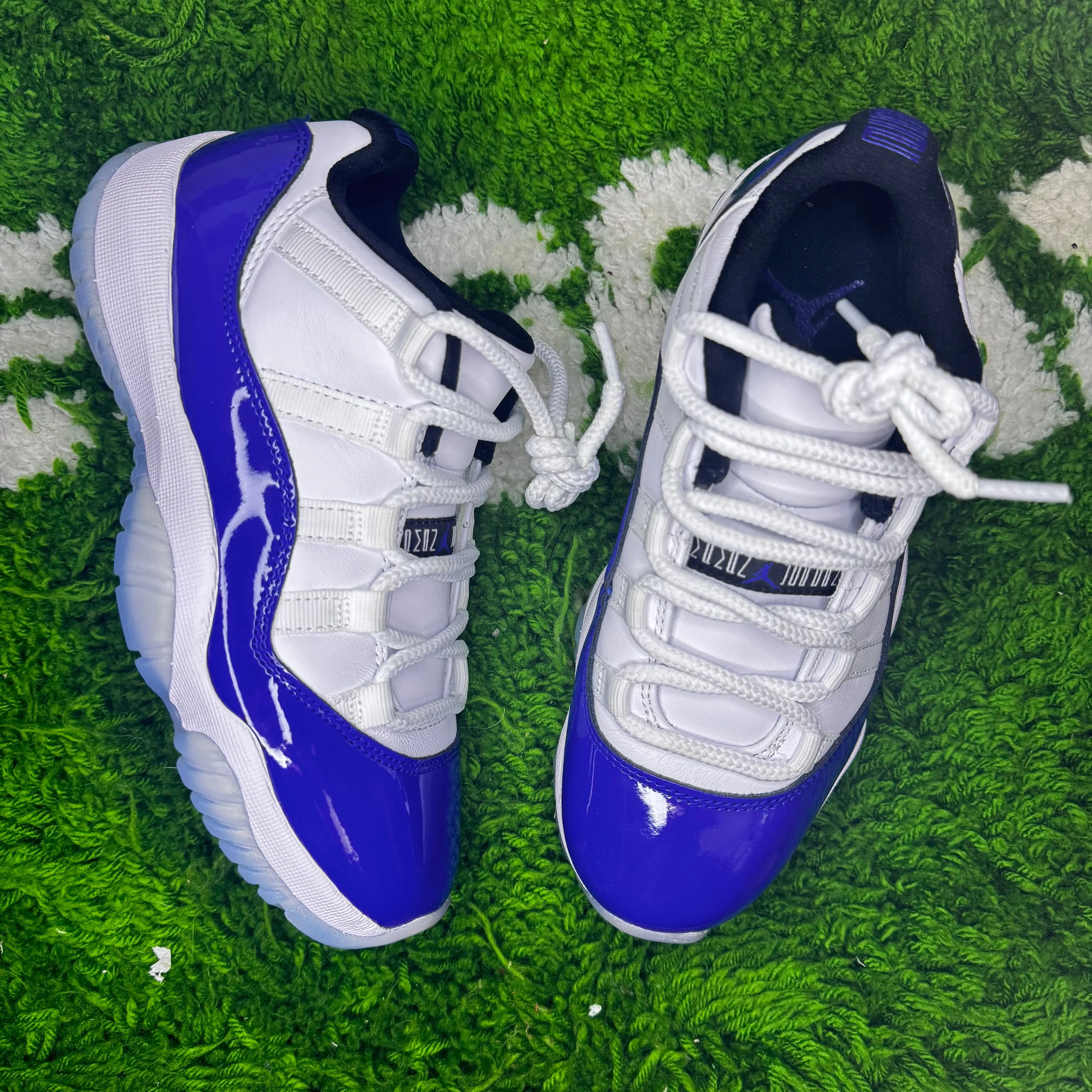 concord 11 low sketch