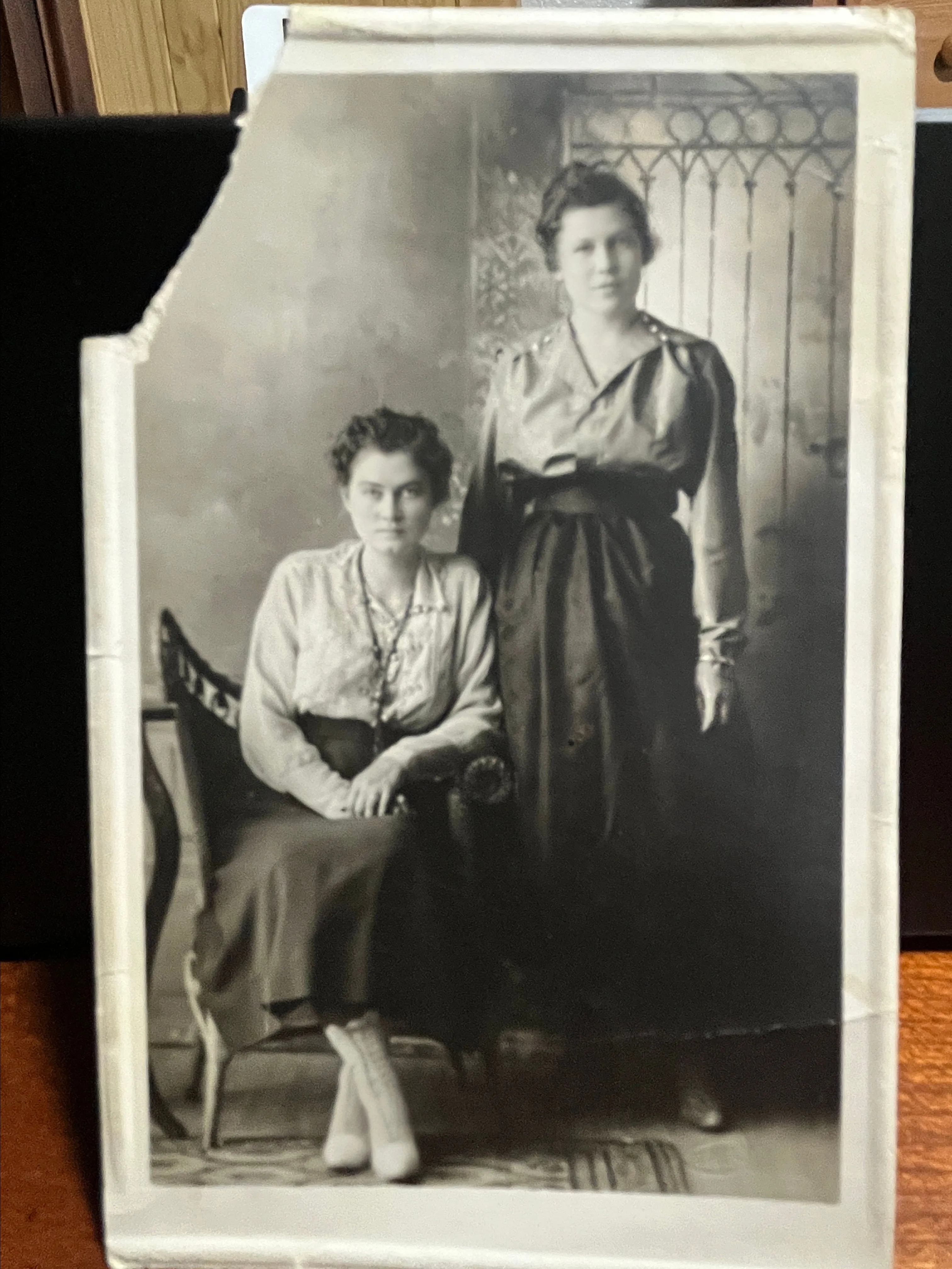 Product image for Instant Ancestors