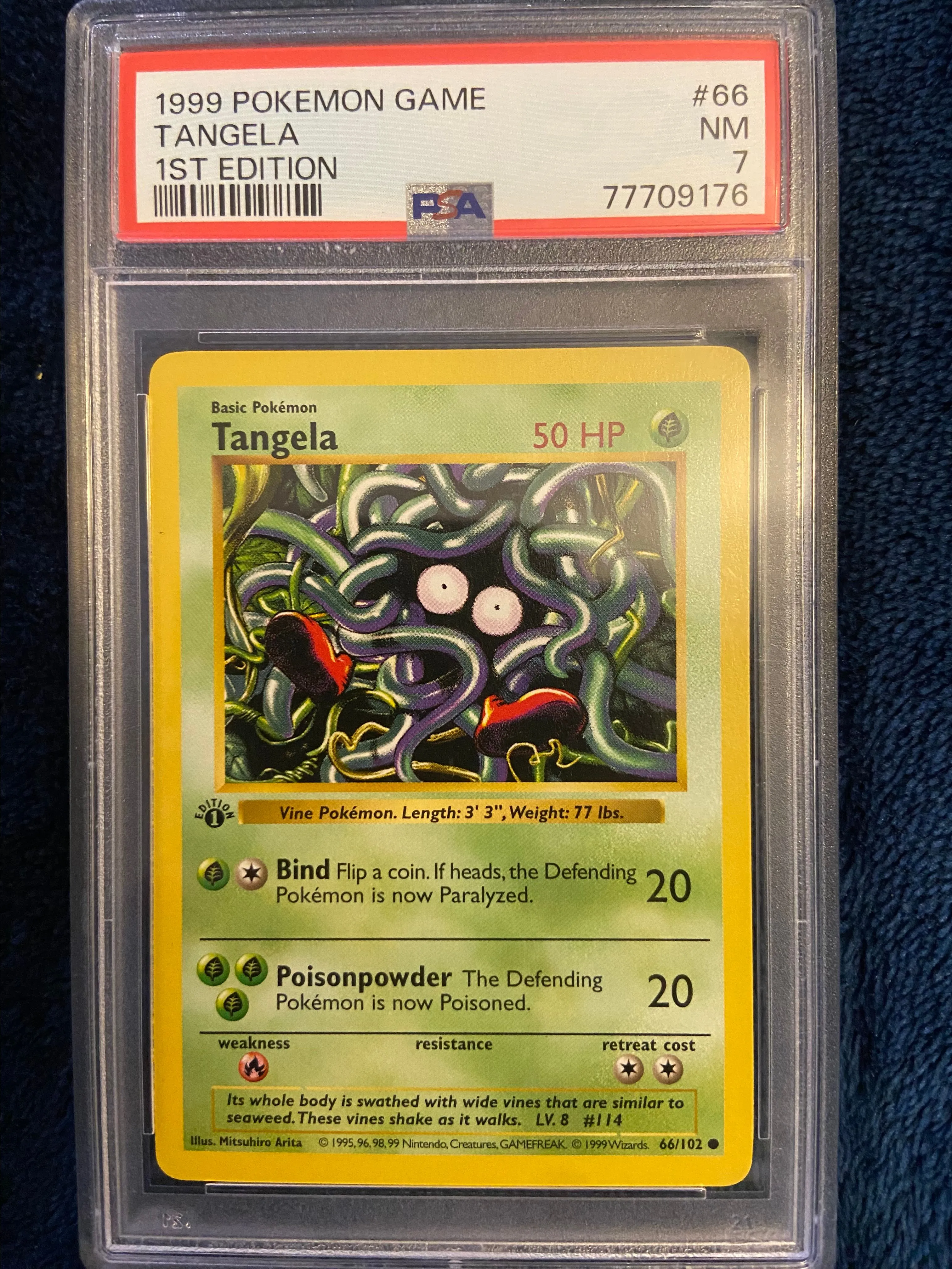 Product image for 1st Ed shadowless base set Tangela PSA 7