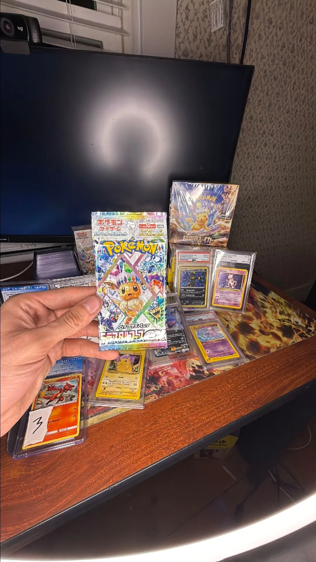 Product image for 1x terrestrial festival pack