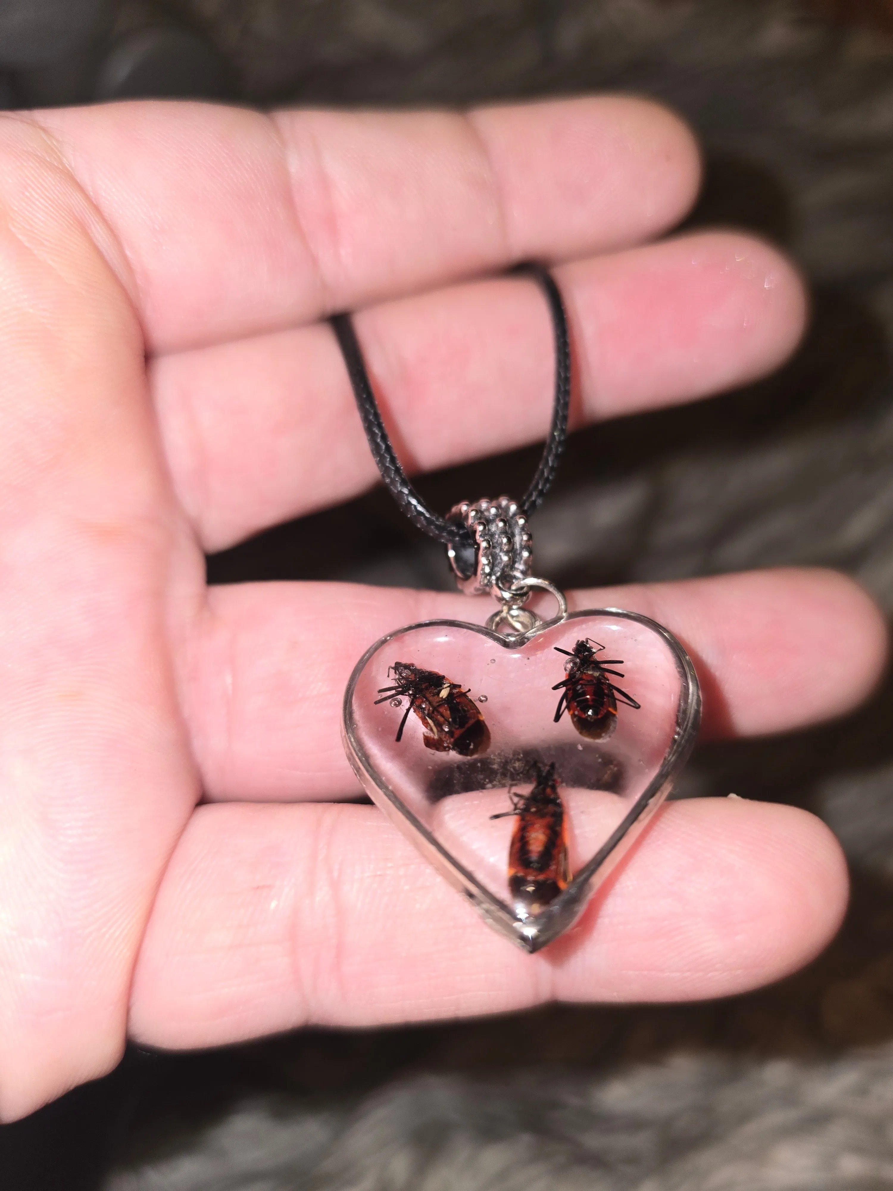 Product image for Boxelder Bug Heart Amulet Necklace