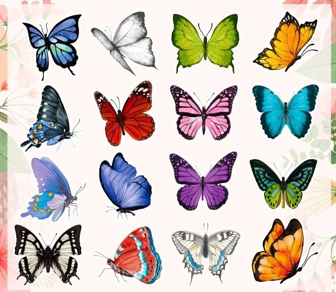 2a6ab6b7-2b78-457c-b3cb-a2b28162dc95