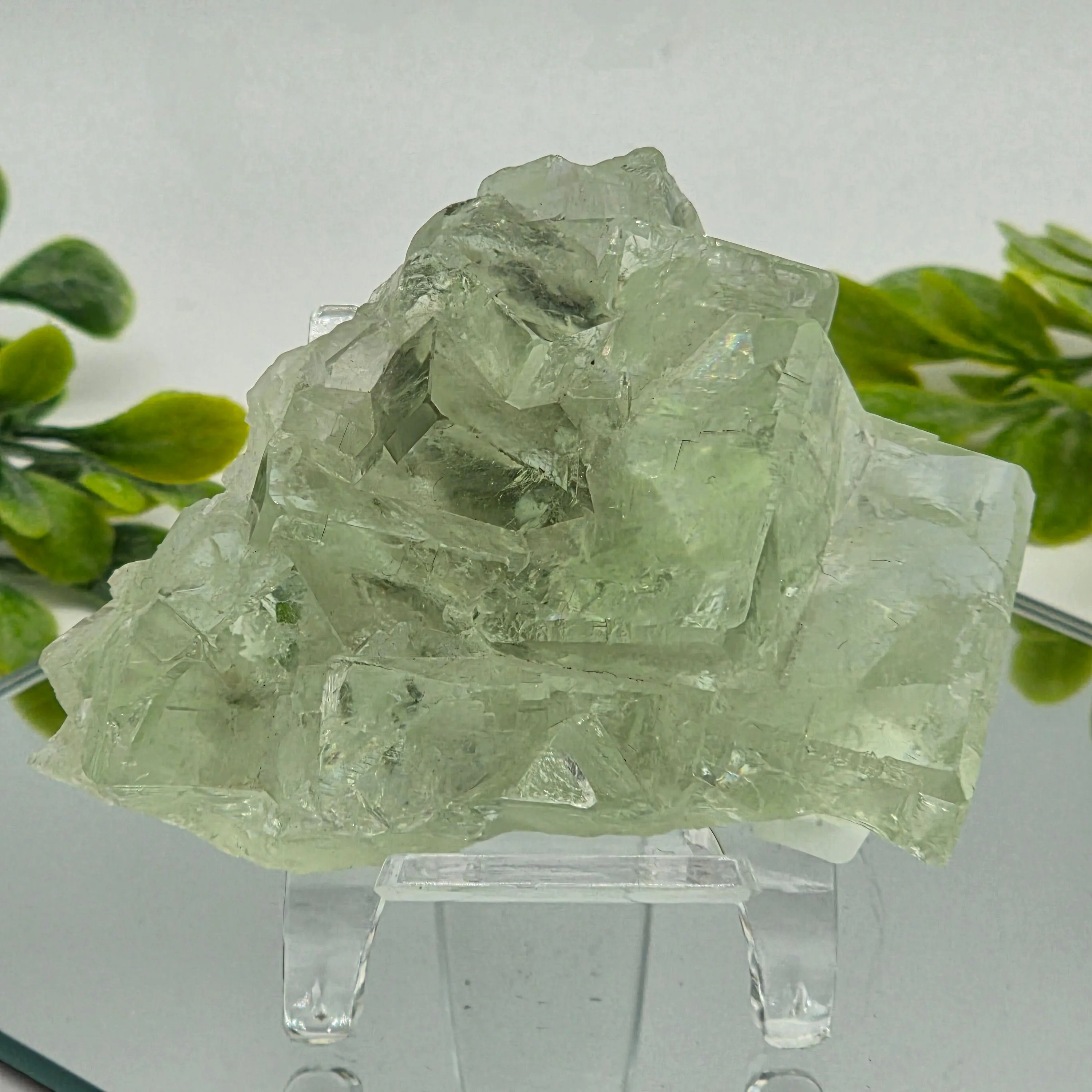 Product image for #339 Fluorite Xianghualing Mine, Hunan Province, China