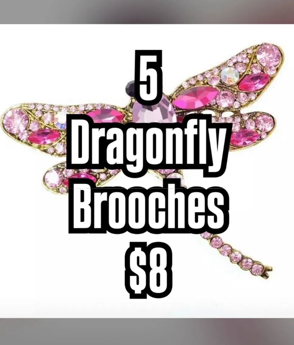 Product image for 5 for $8 Dragonfly brooches
