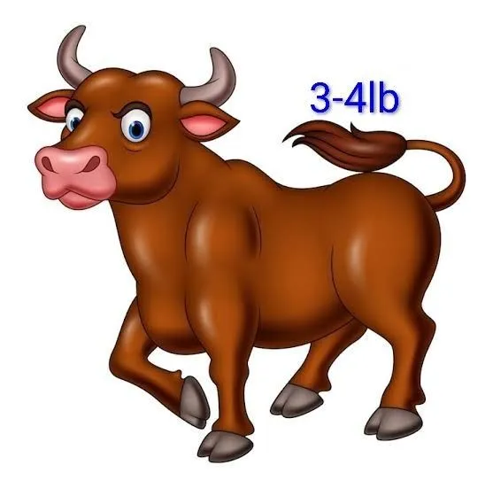 2bafcf9a-1396-4592-8c5e-28ea608f7832
