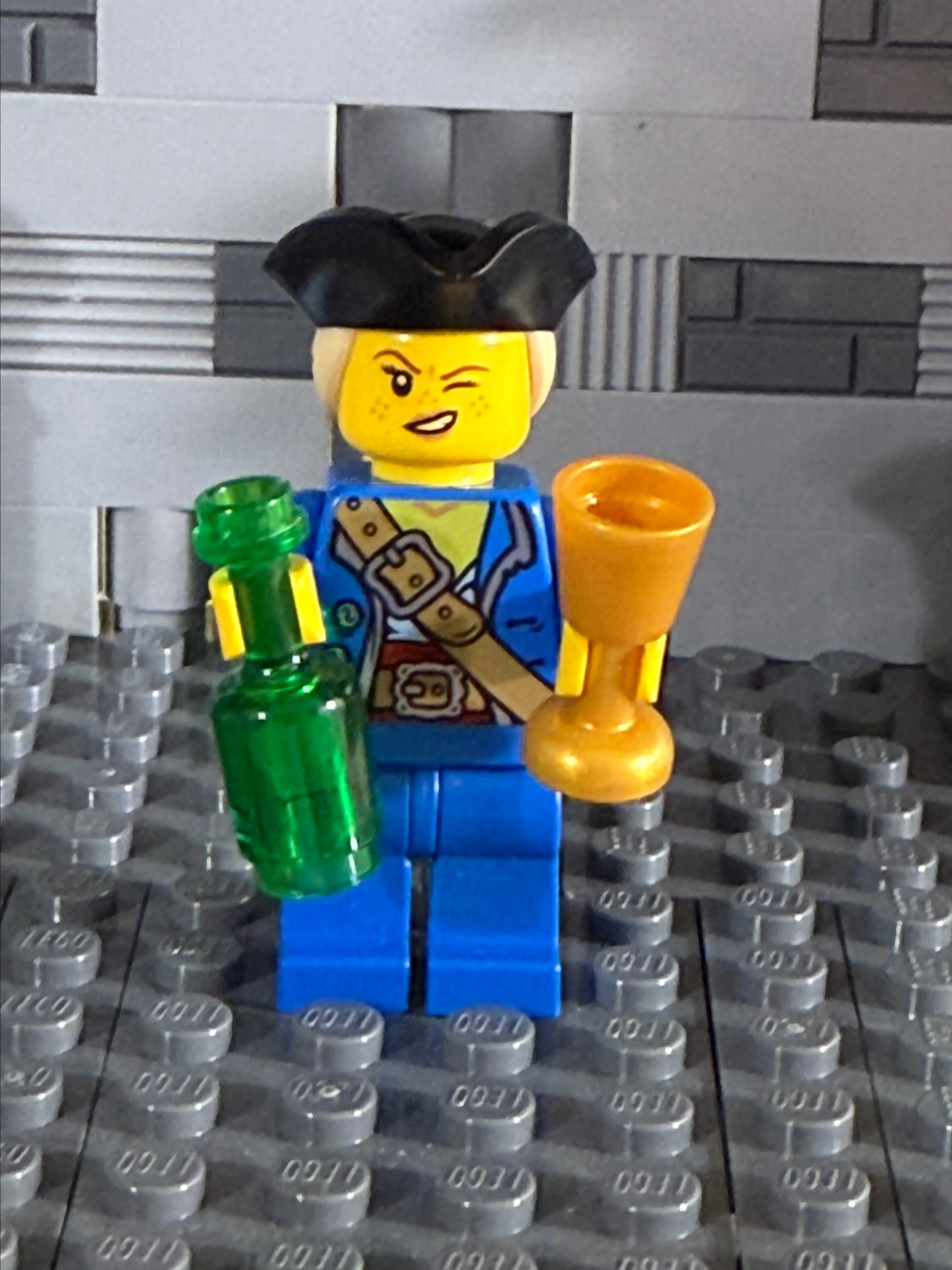 Product image for FLCrew Customs: Pirate Lady