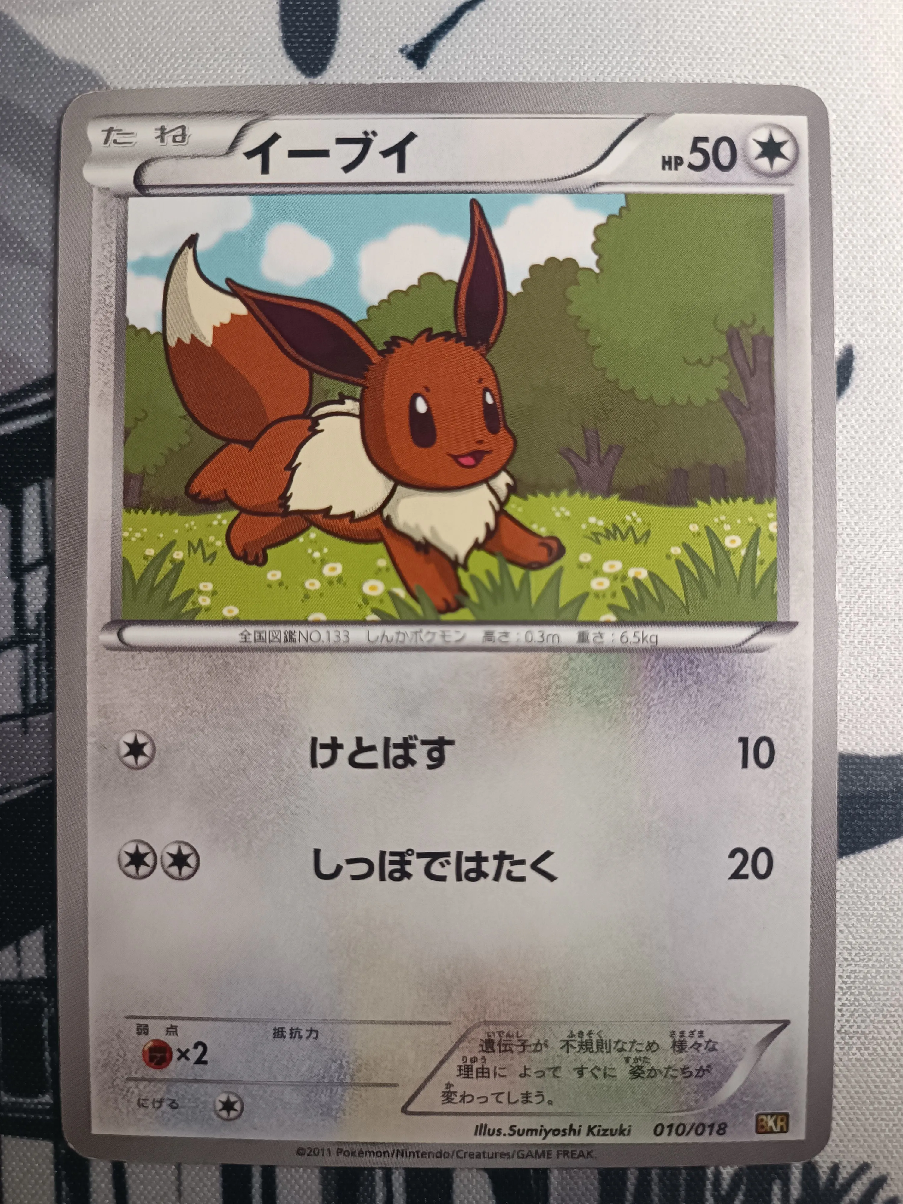 Product image for JP - 80 - Evoli BKR 010