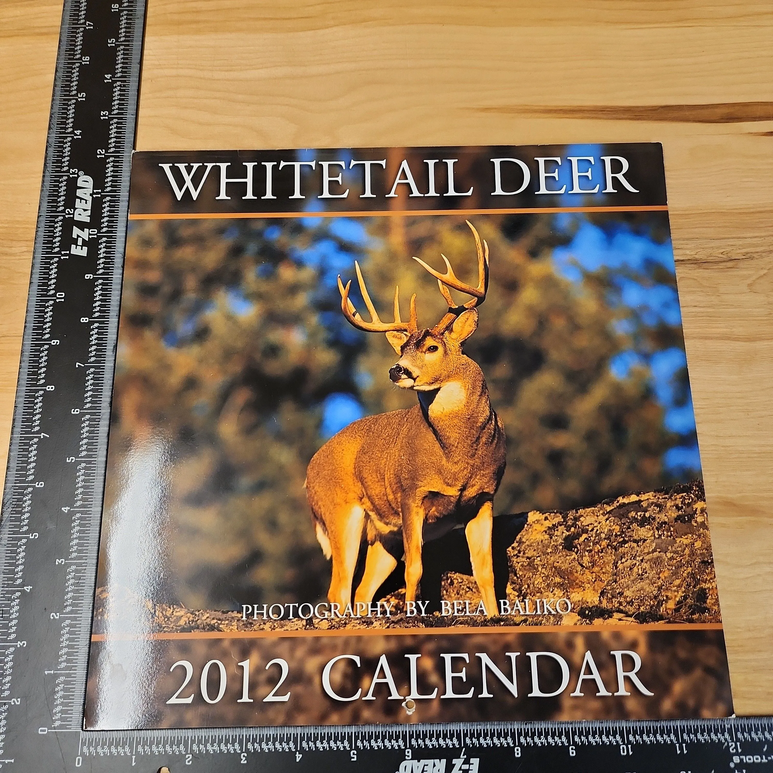 Product image for Bela Baliko Deer Wildlife Photography Art Calendar 2012
