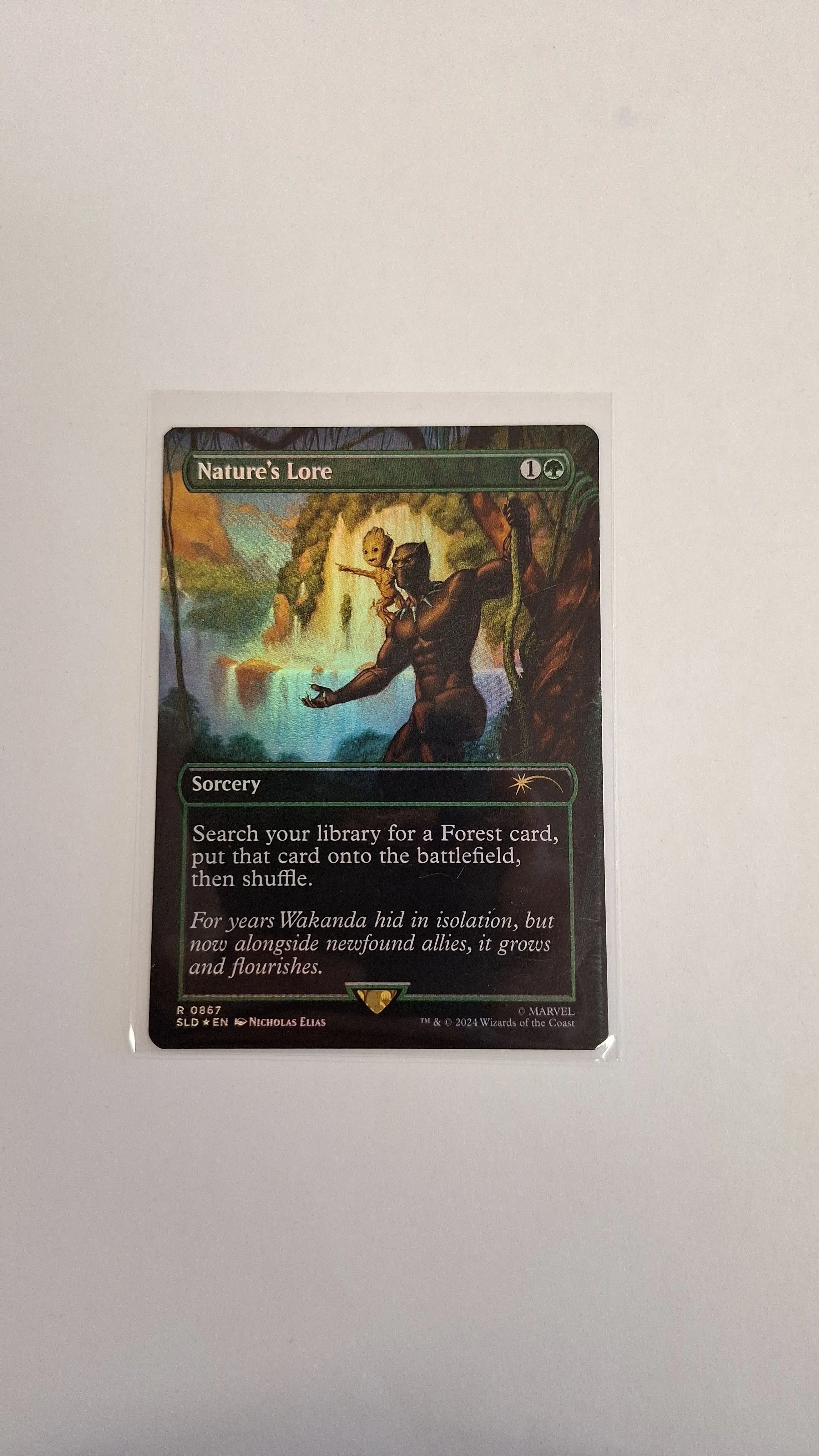 Product image for Nature's Lore