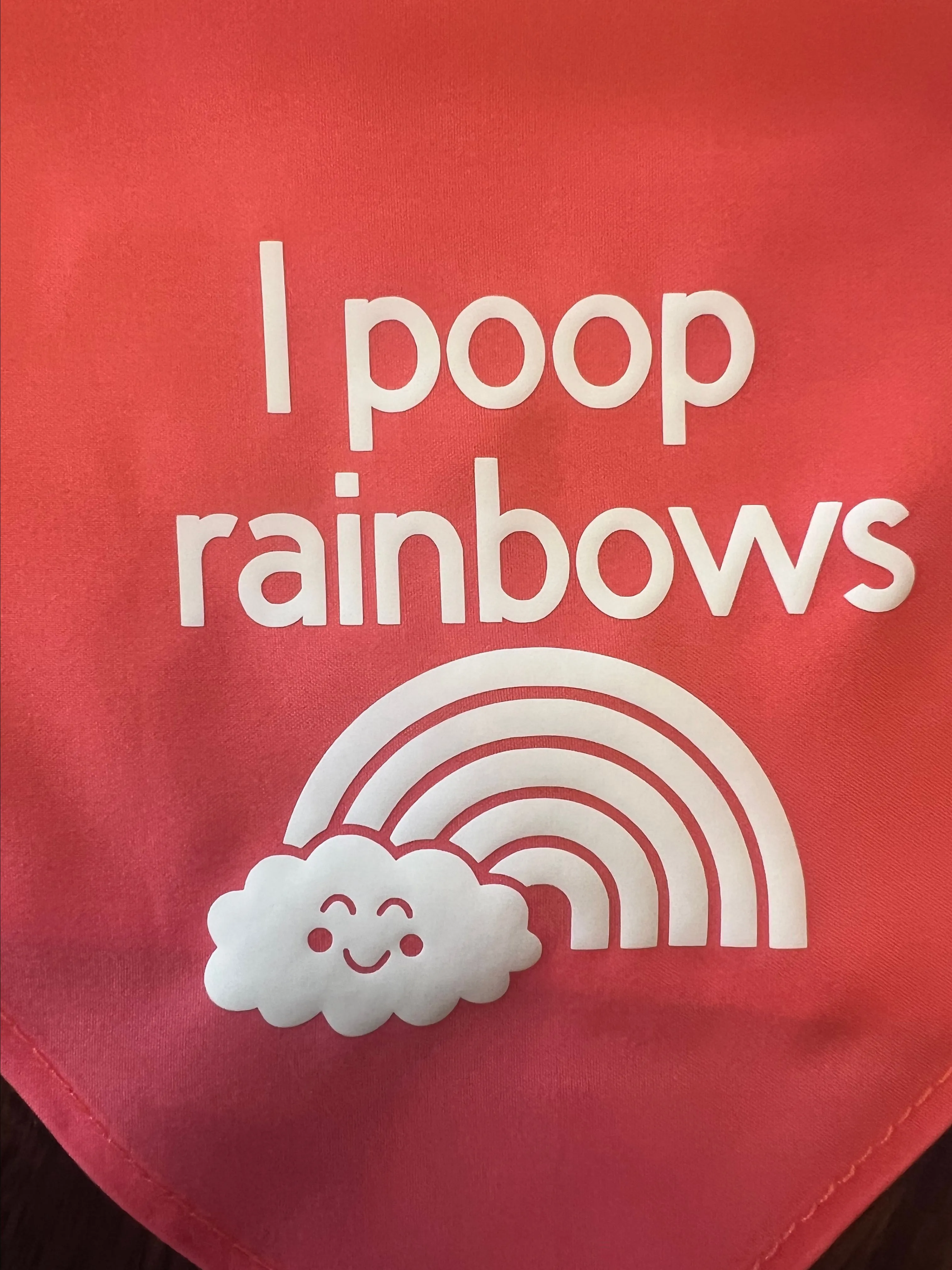 Product image for I Poop Rainbows