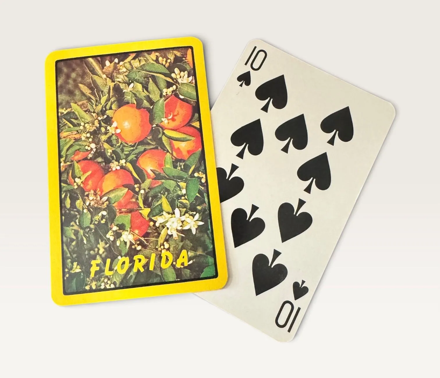 2ed2f511-2141-4ab9-8d68-a33ff0201bb3